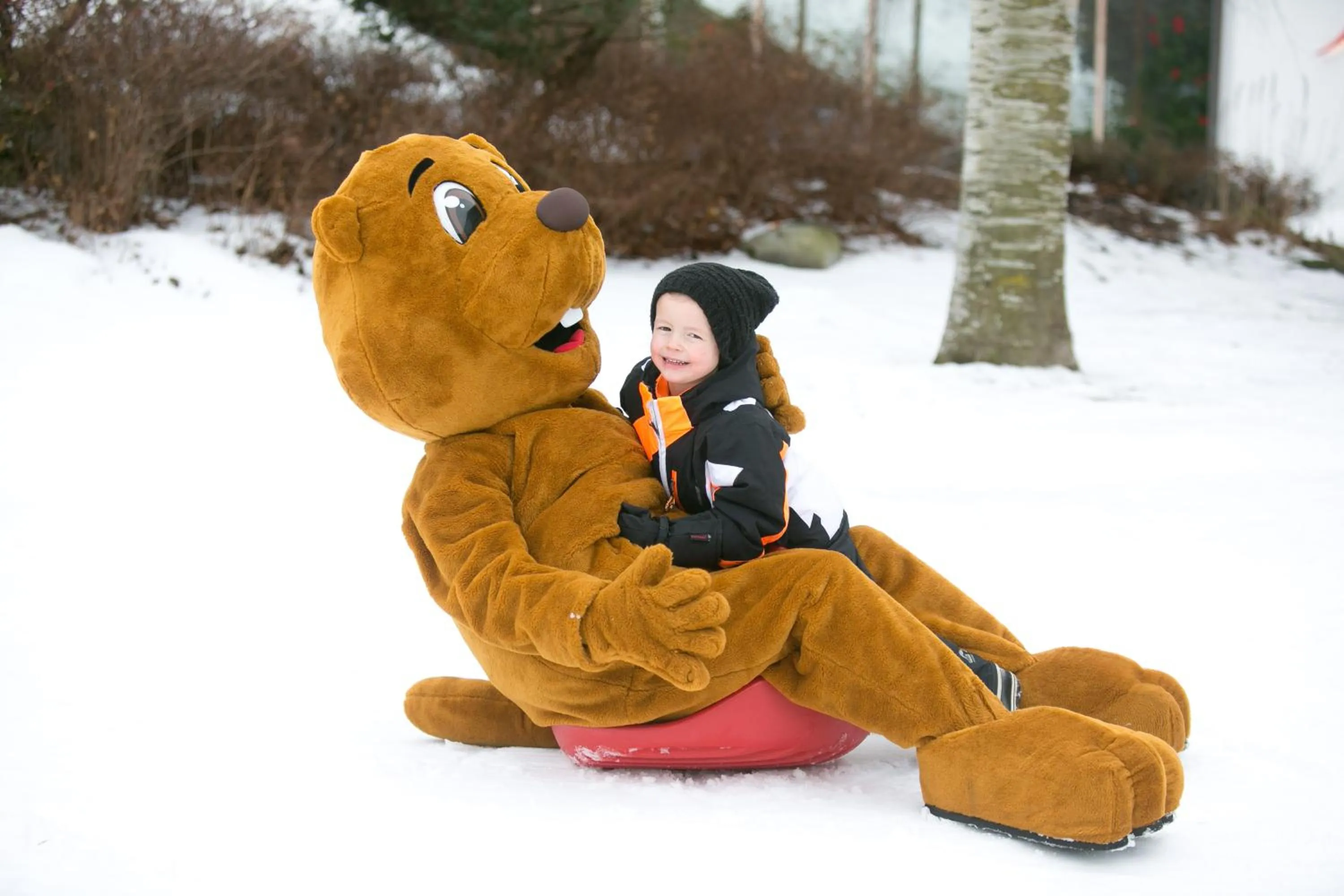 Sports in Hotel NockResort