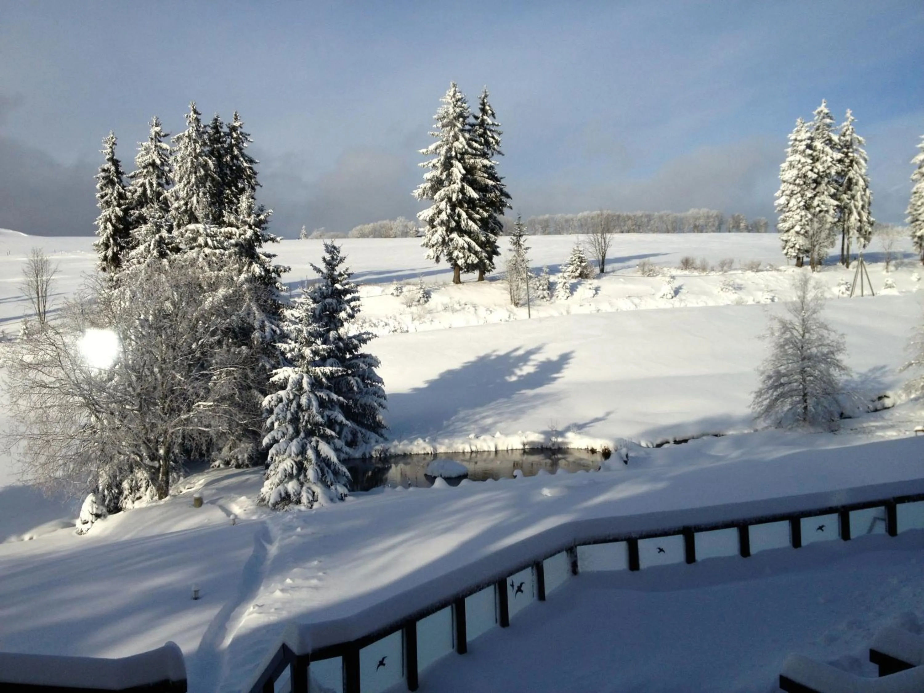 Winter in Gastinger Hotel-Restaurant