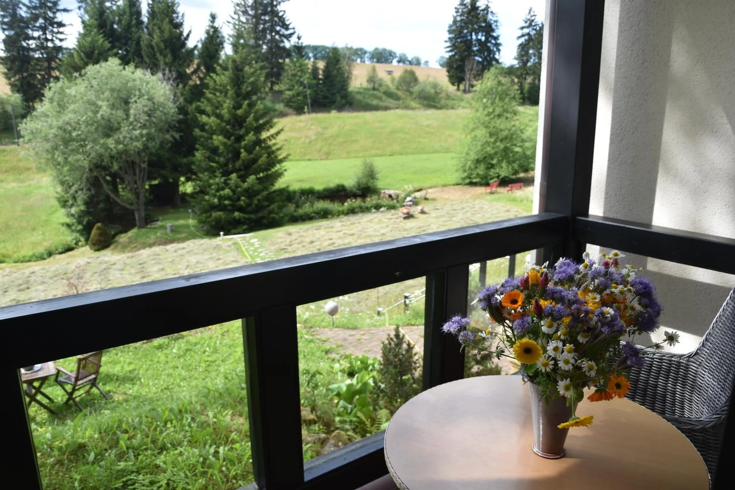 Balcony/Terrace in Gastinger Hotel-Restaurant