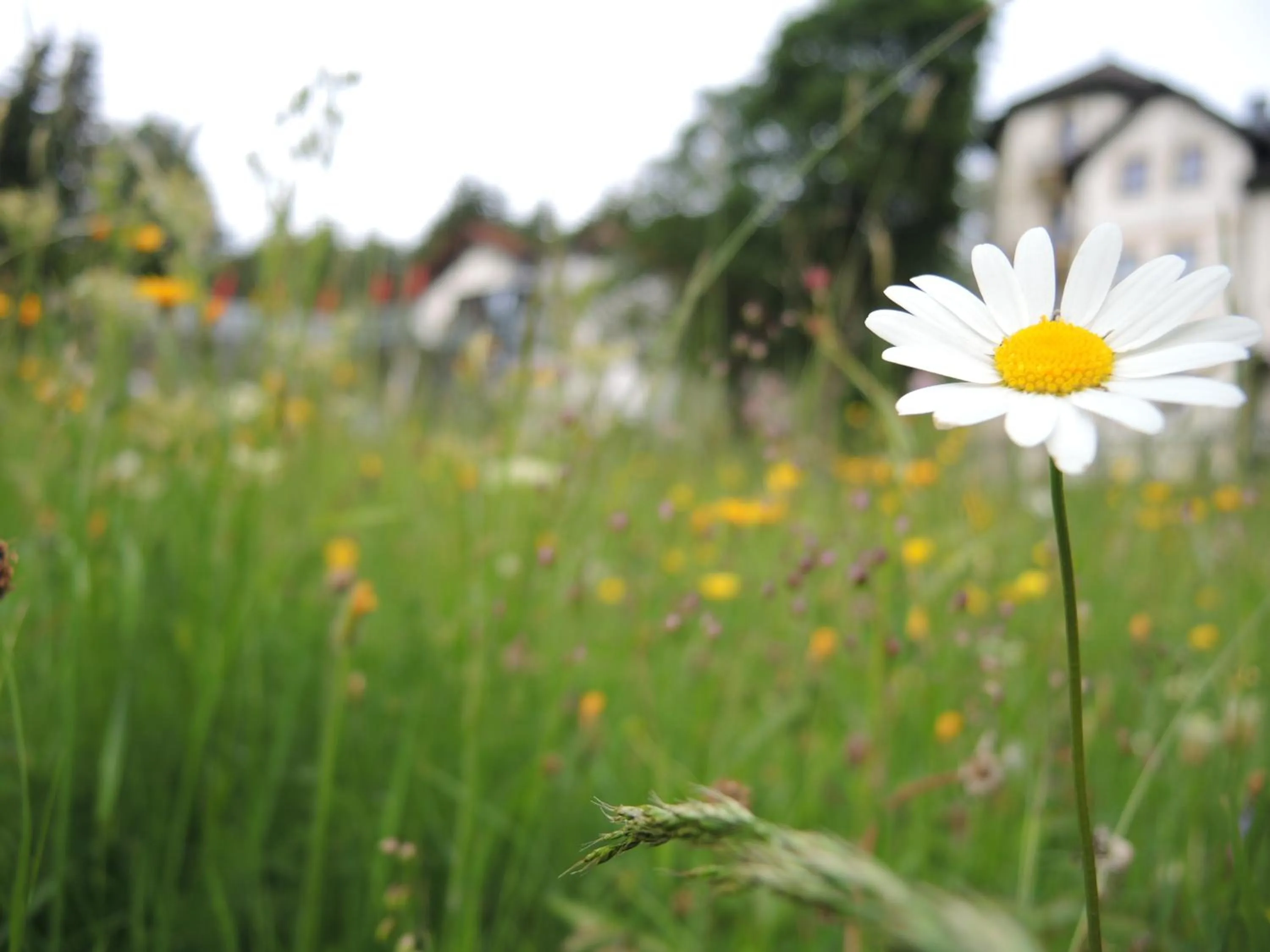 Other in Gastinger Hotel-Restaurant