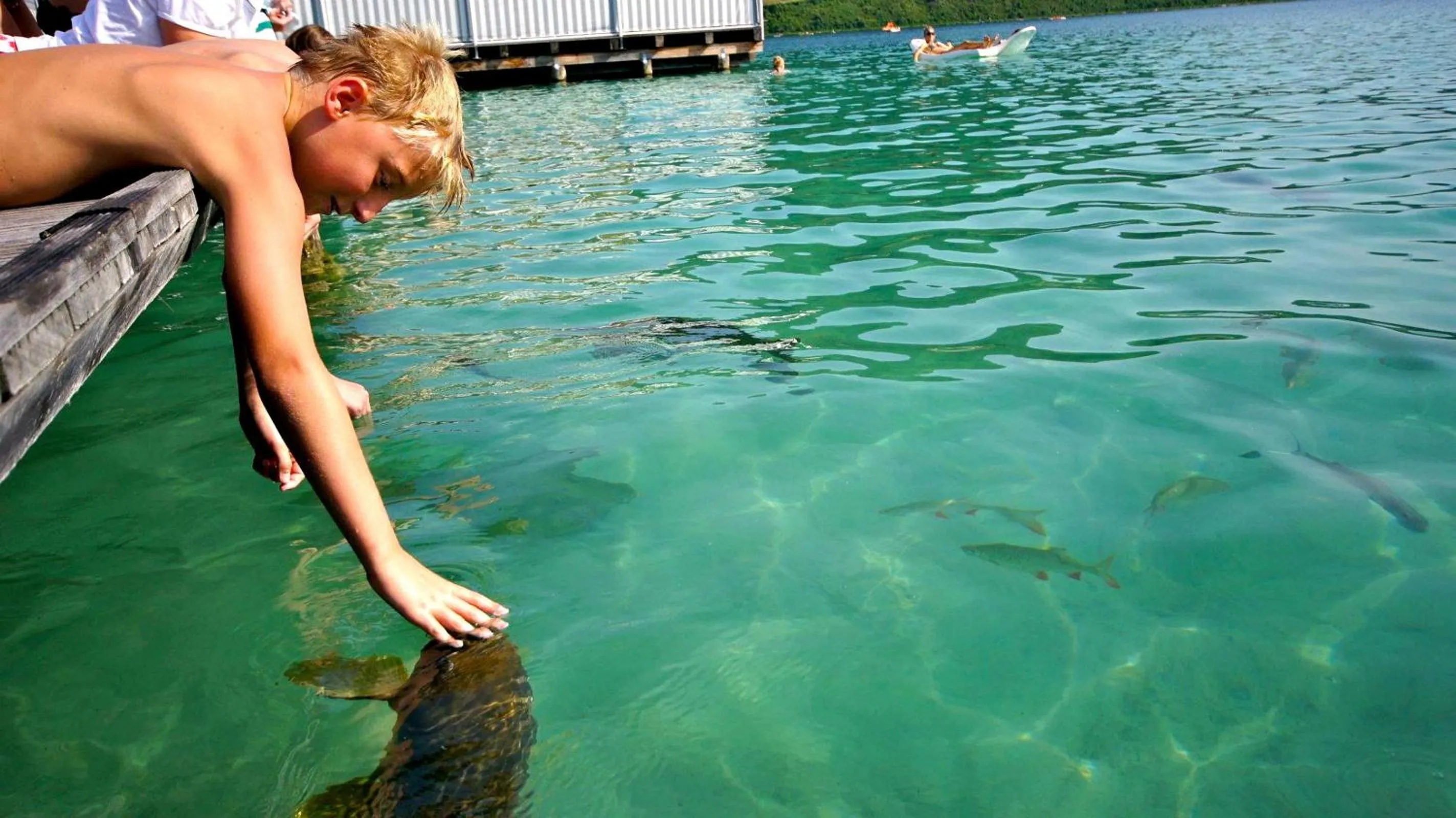 Area and facilities in Amerika-Holzer Hotel & Resort