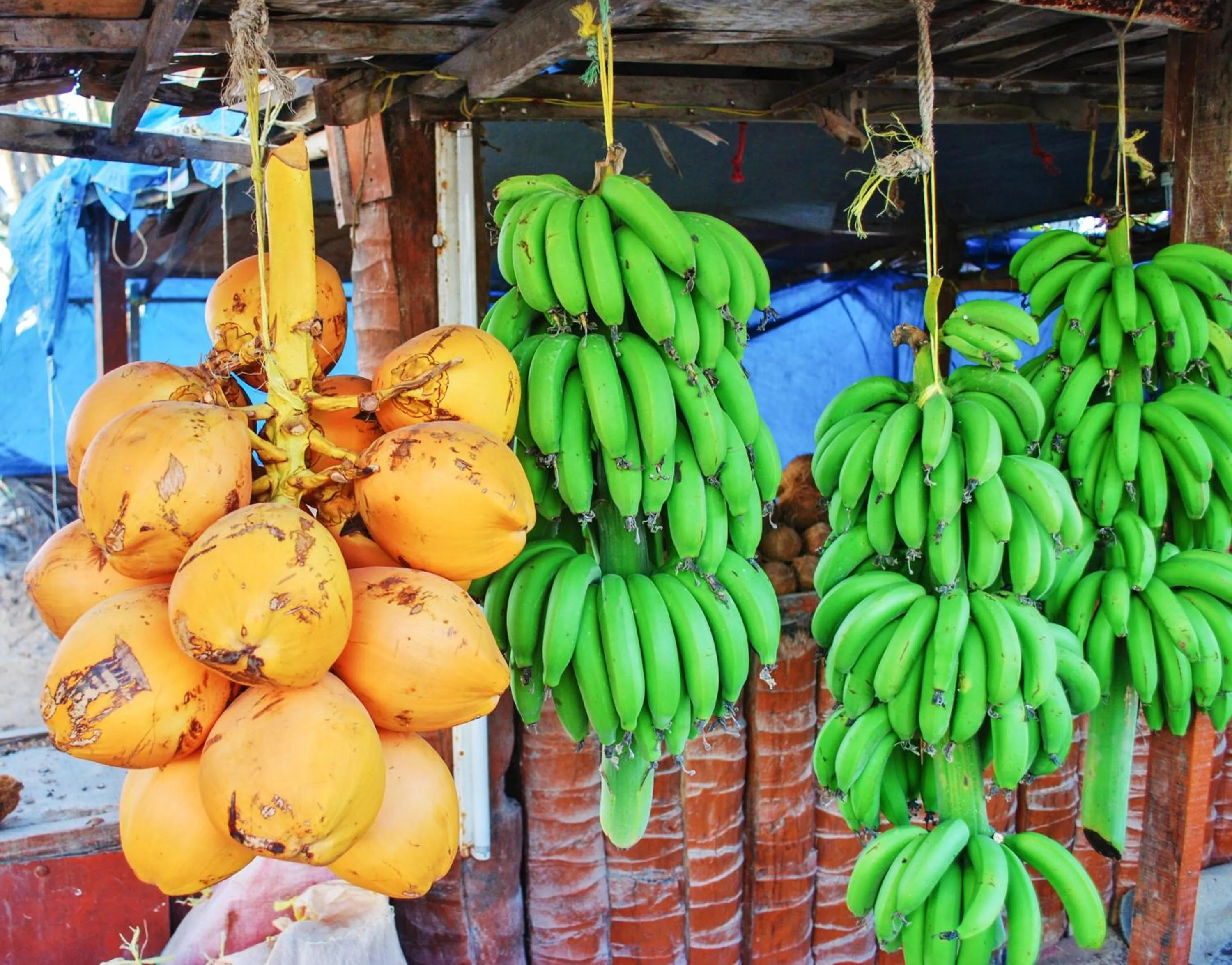 Nearby landmark in Crowne Plaza Resort Salalah by IHG