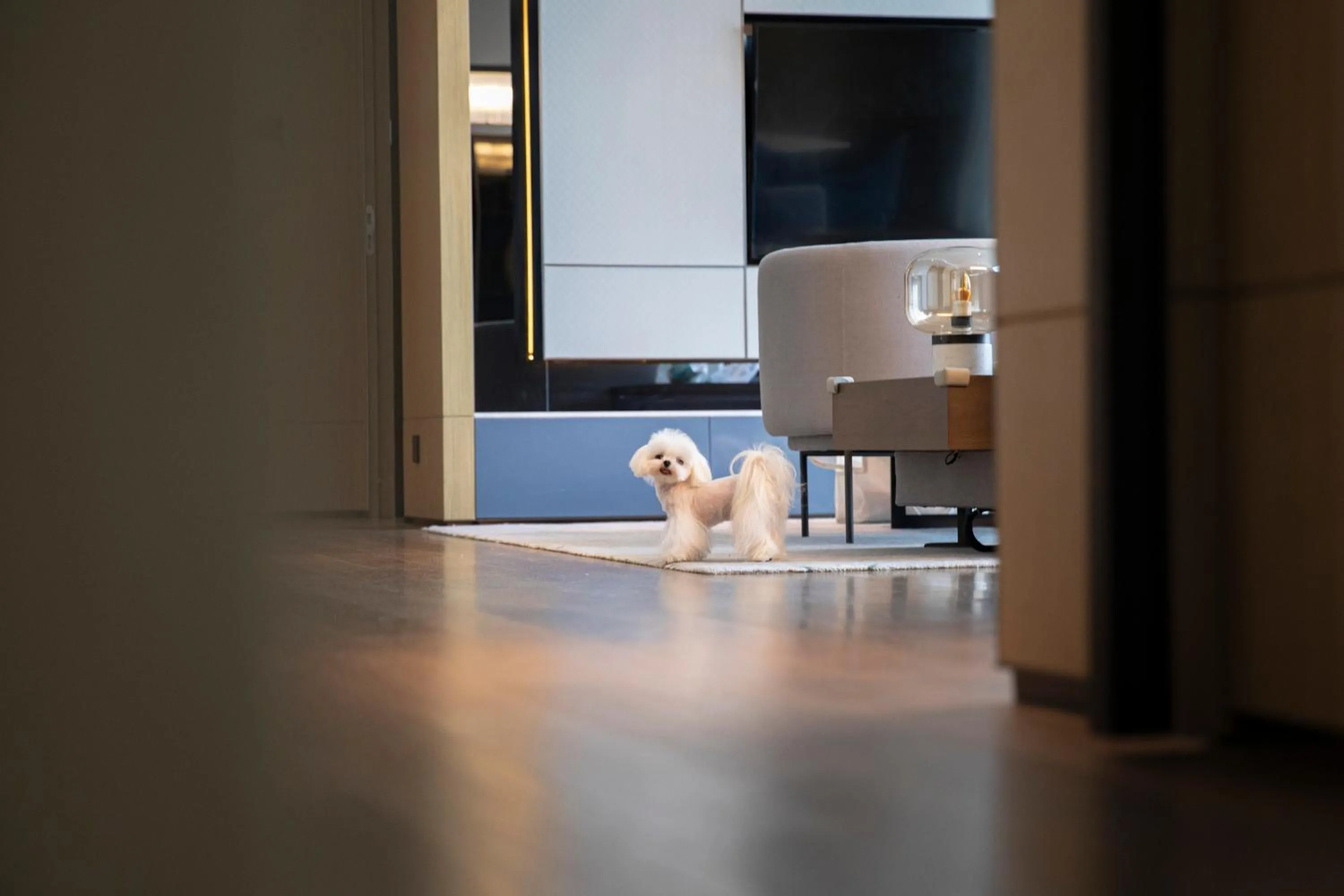 The Meixi Lake, Changsha Marriott Executive Apartments