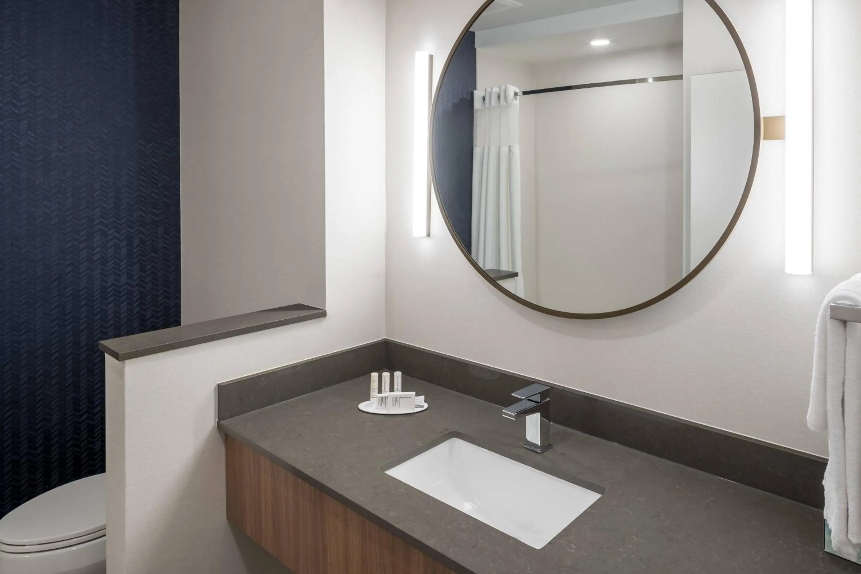 Bathroom in Fairfield by Marriott Inn & Suites Savannah I-95 North