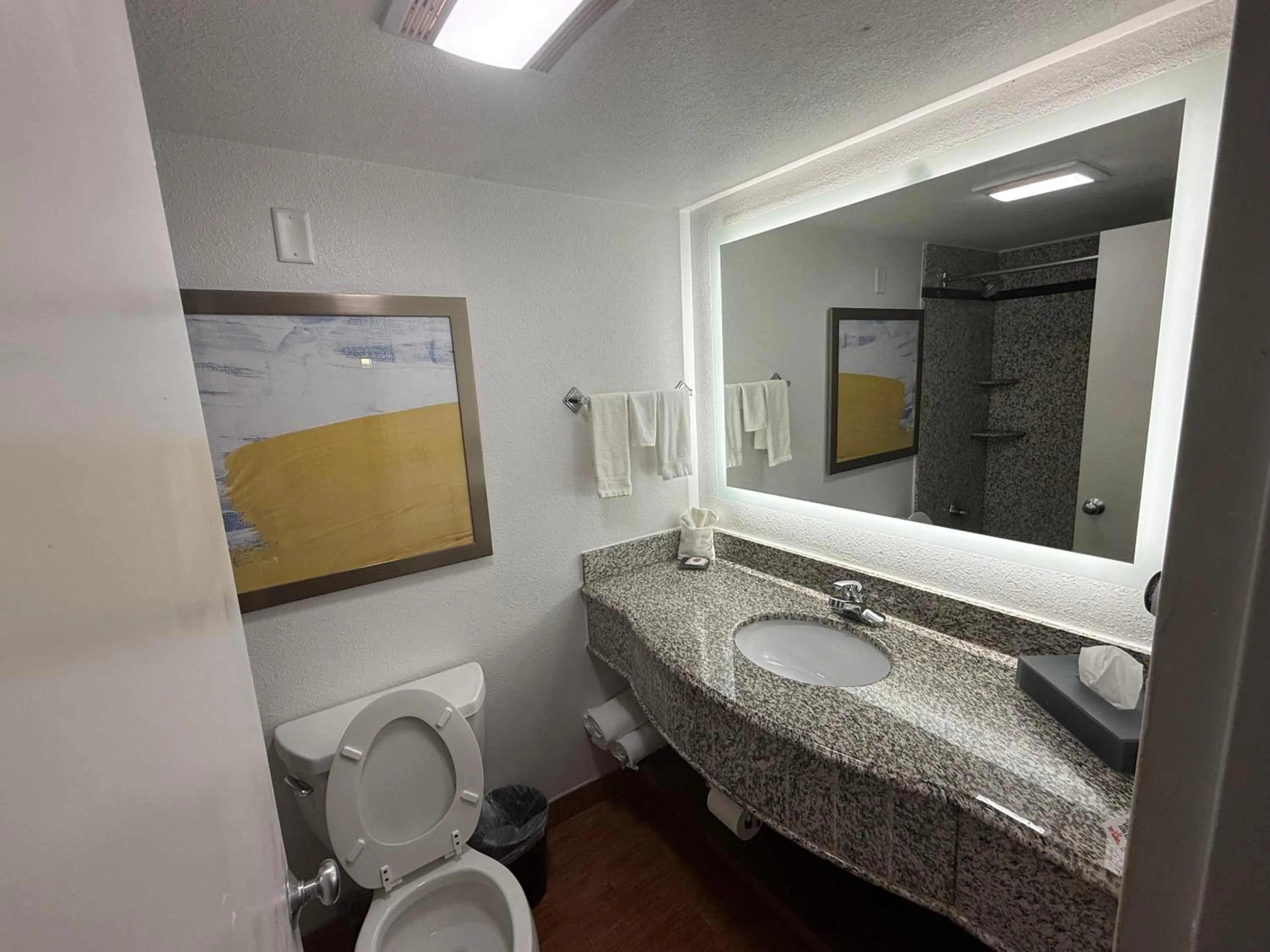 Comfort Inn Conover-Hickory