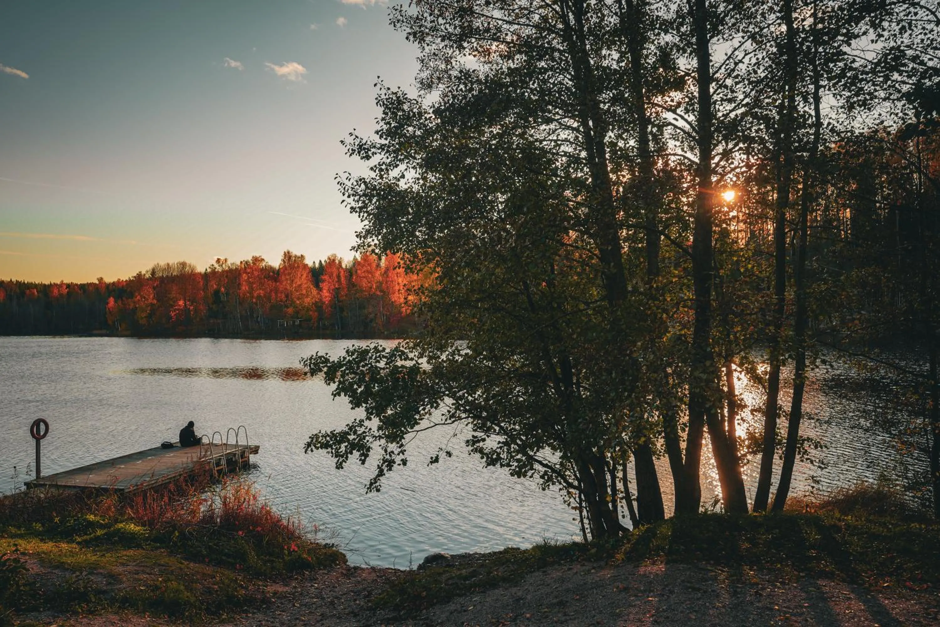 Beach in Haltia Lake Lodge nature boutique hotel & glamping