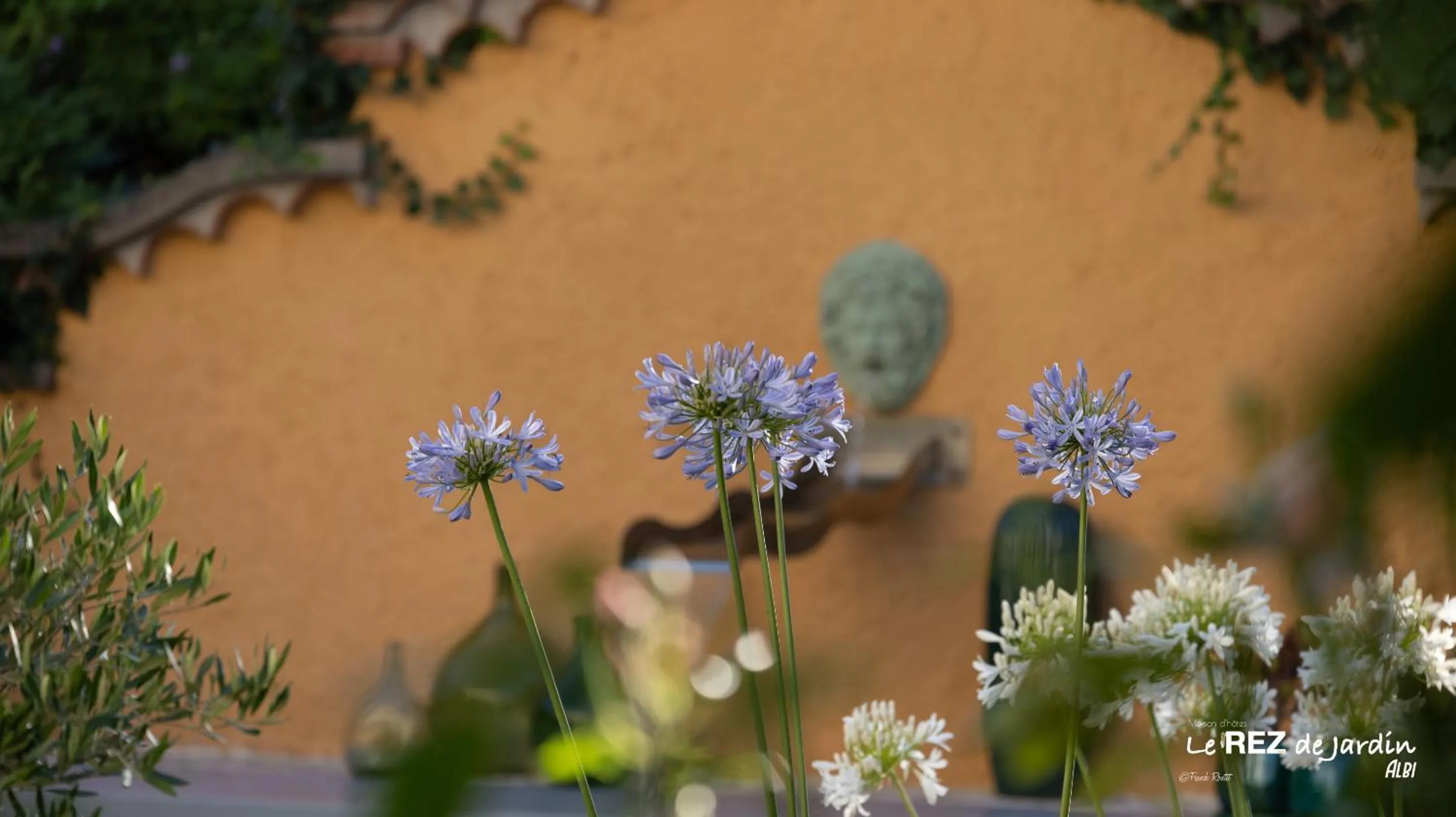 Garden in Le Rez de Jardin Albi