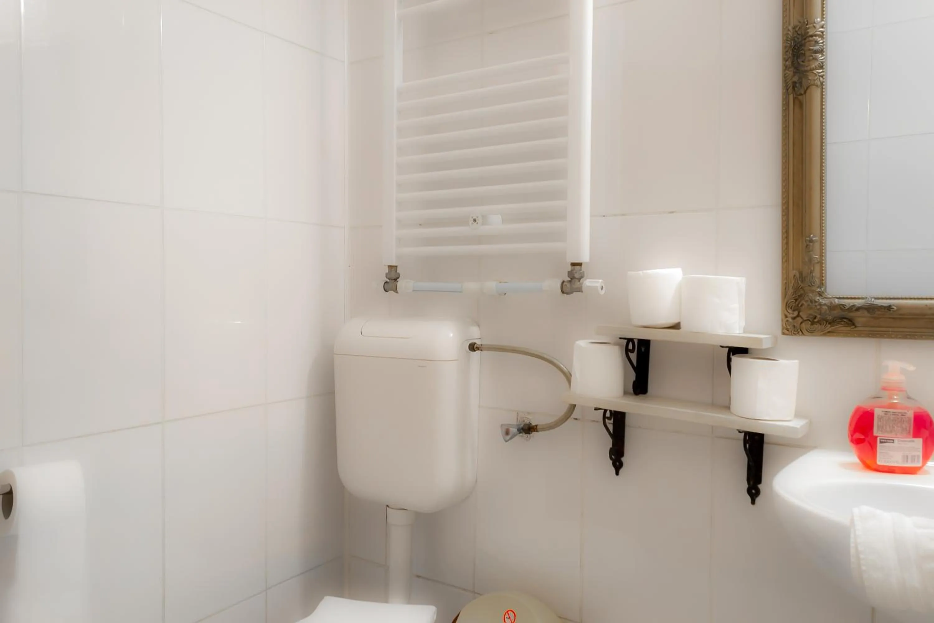 Toilet in ElStefanino House