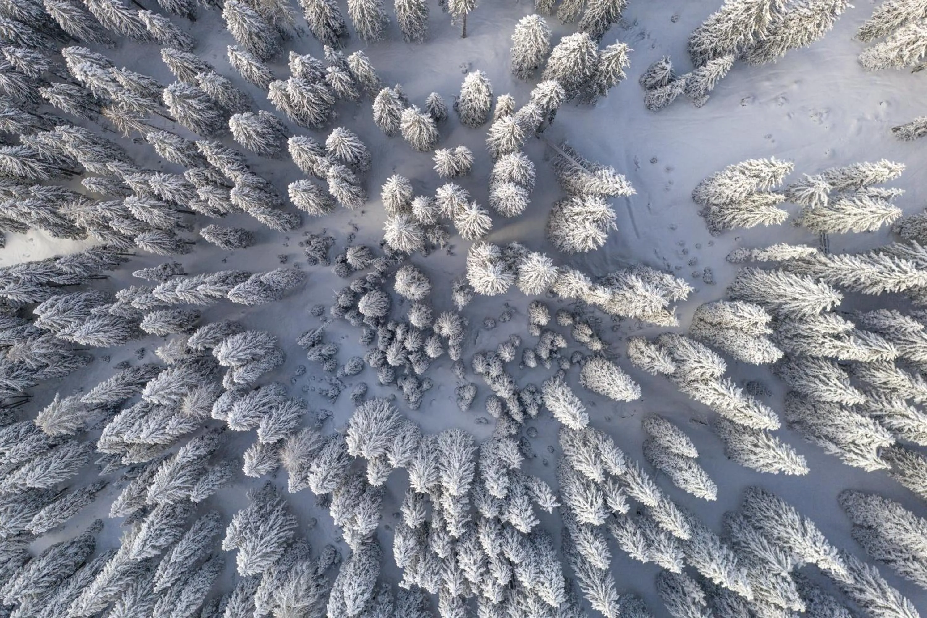 Natural landscape in Triangel Boutique Hotel