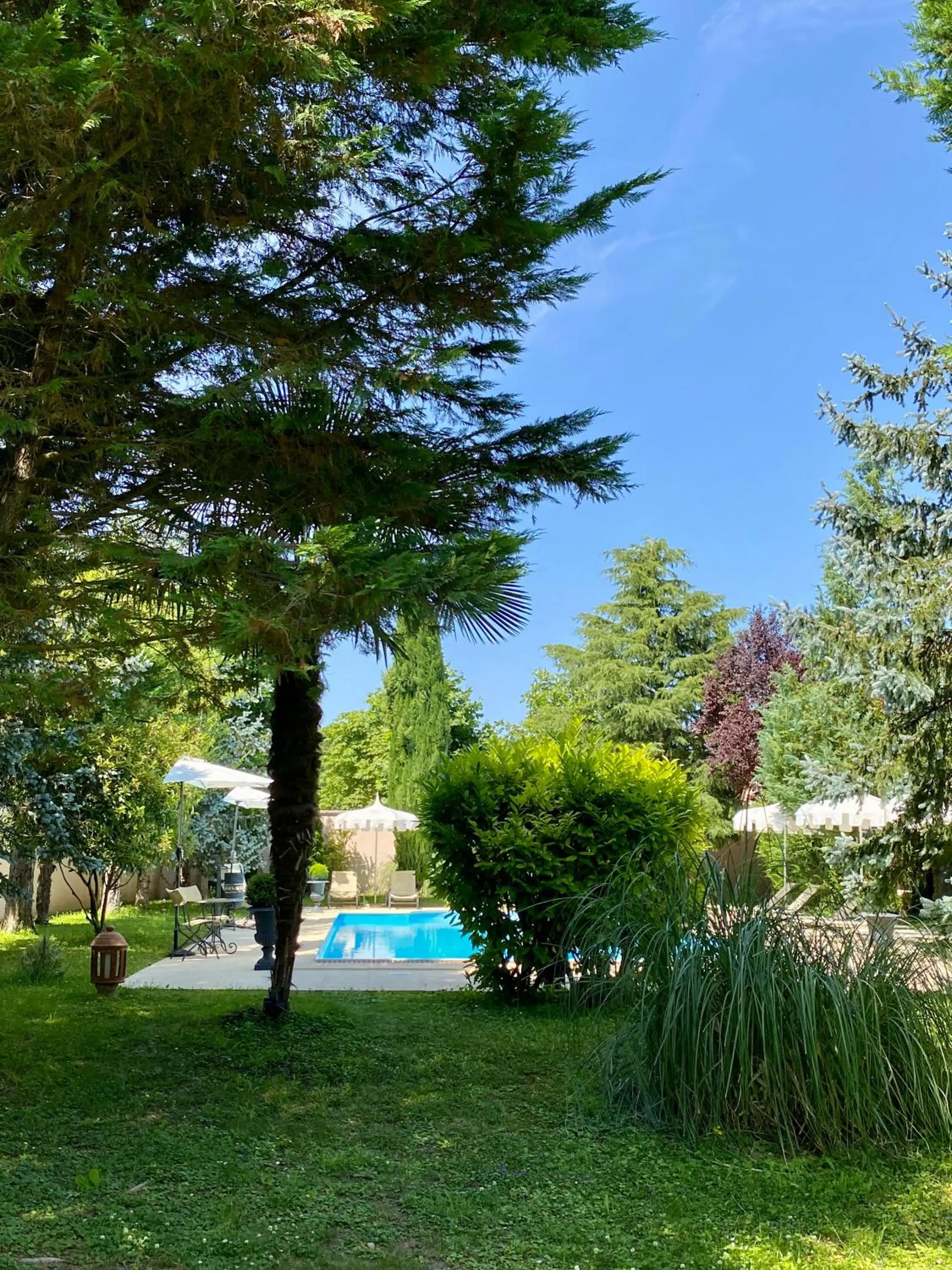 Swimming pool in LA RÉSERVE DE L'AUBE - Hébergements insolites Luxe et Design