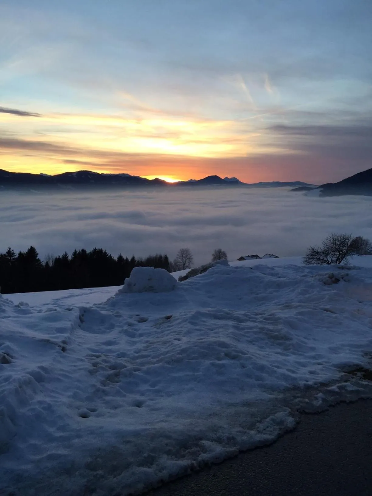 Natural landscape in Hotel Vogelweiderhof