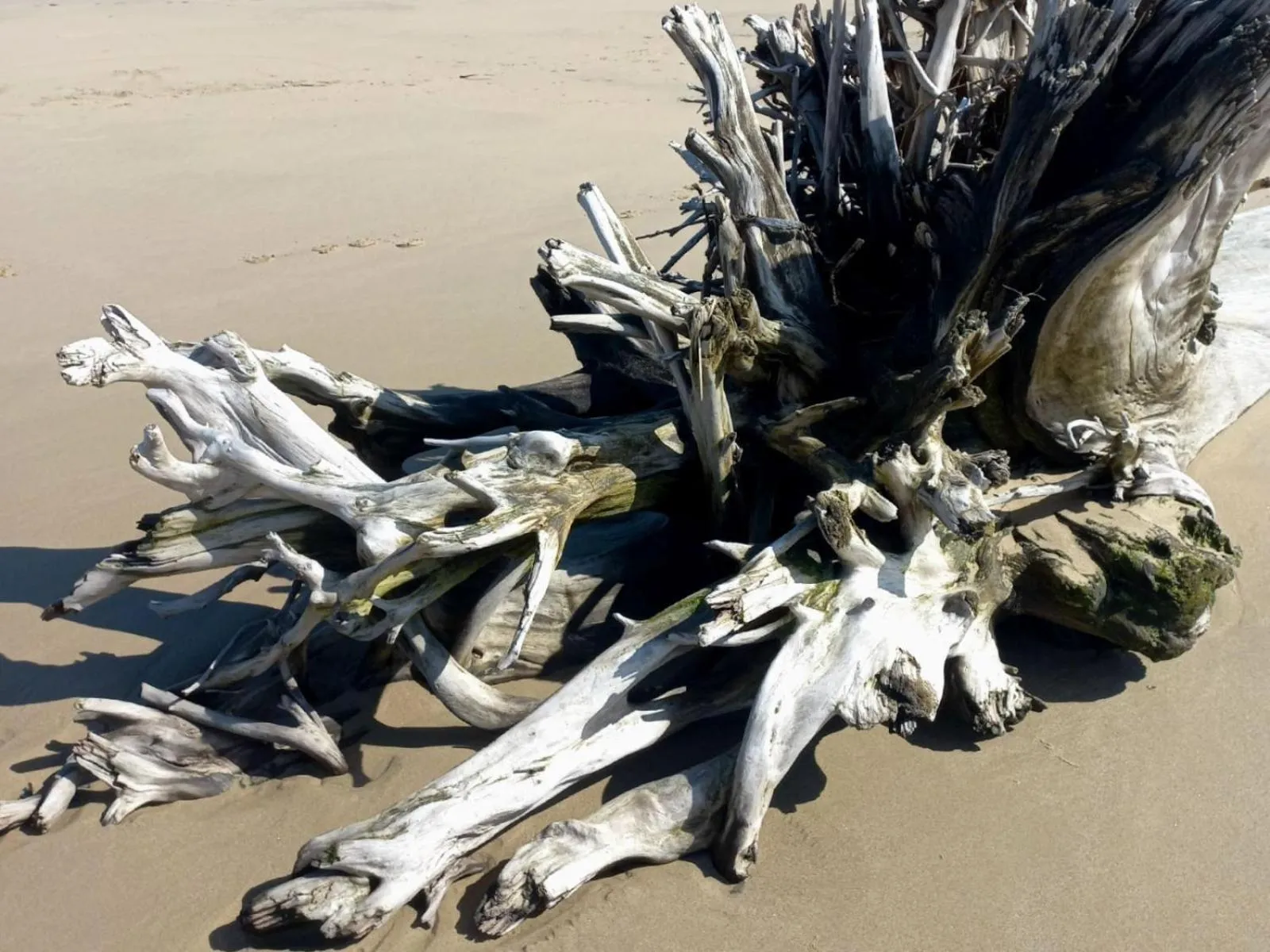 Beach in Waves of Mercy