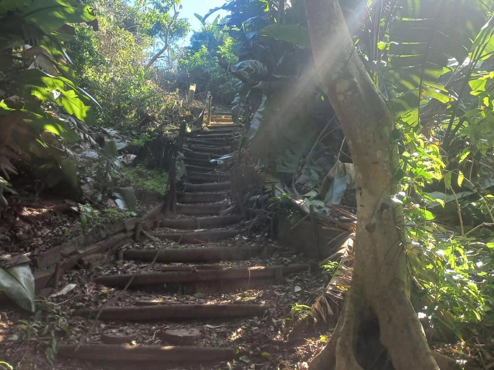 Beach in Waves of Mercy