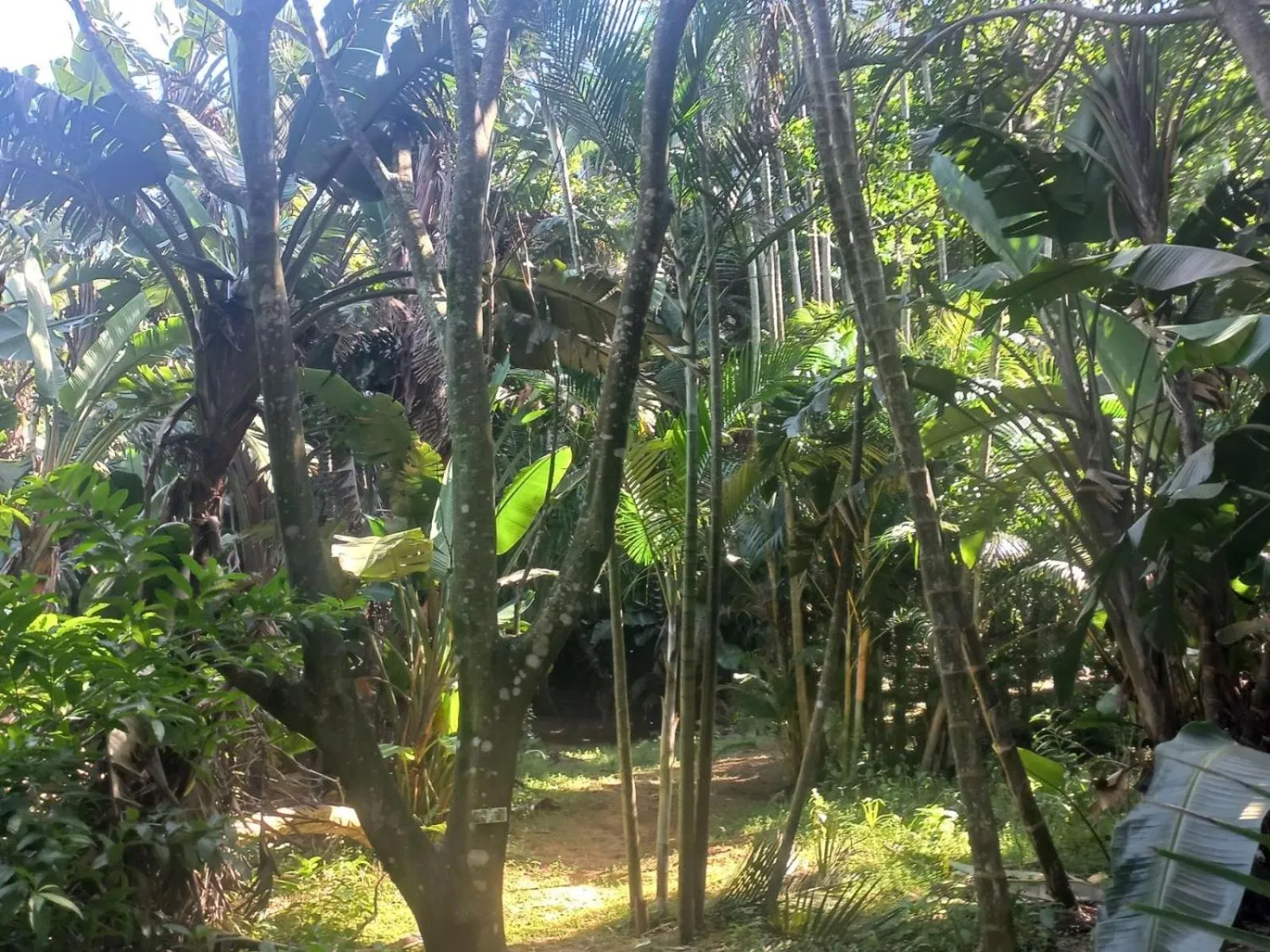 Beach in Waves of Mercy