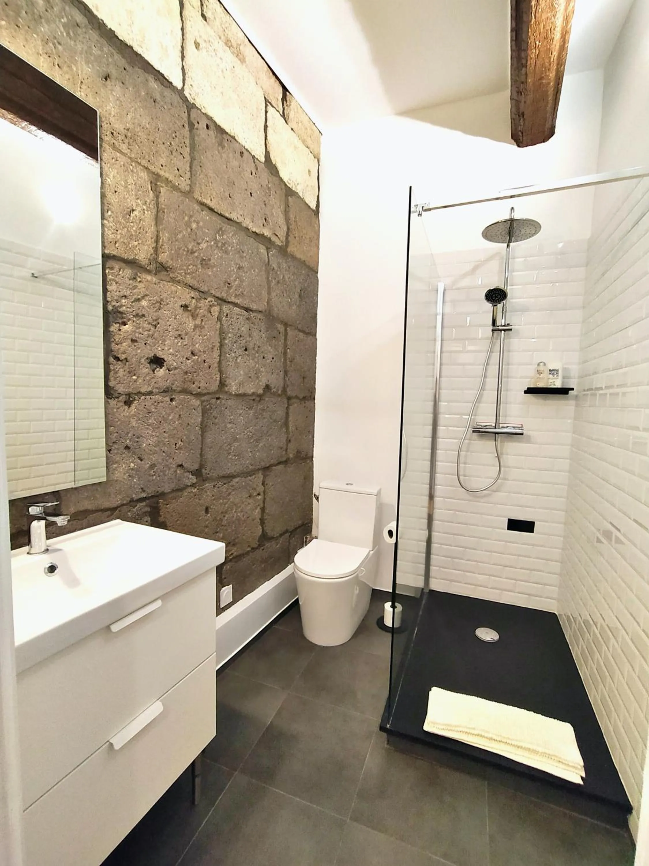 Shower in Le Prince - Maison d'hôtes