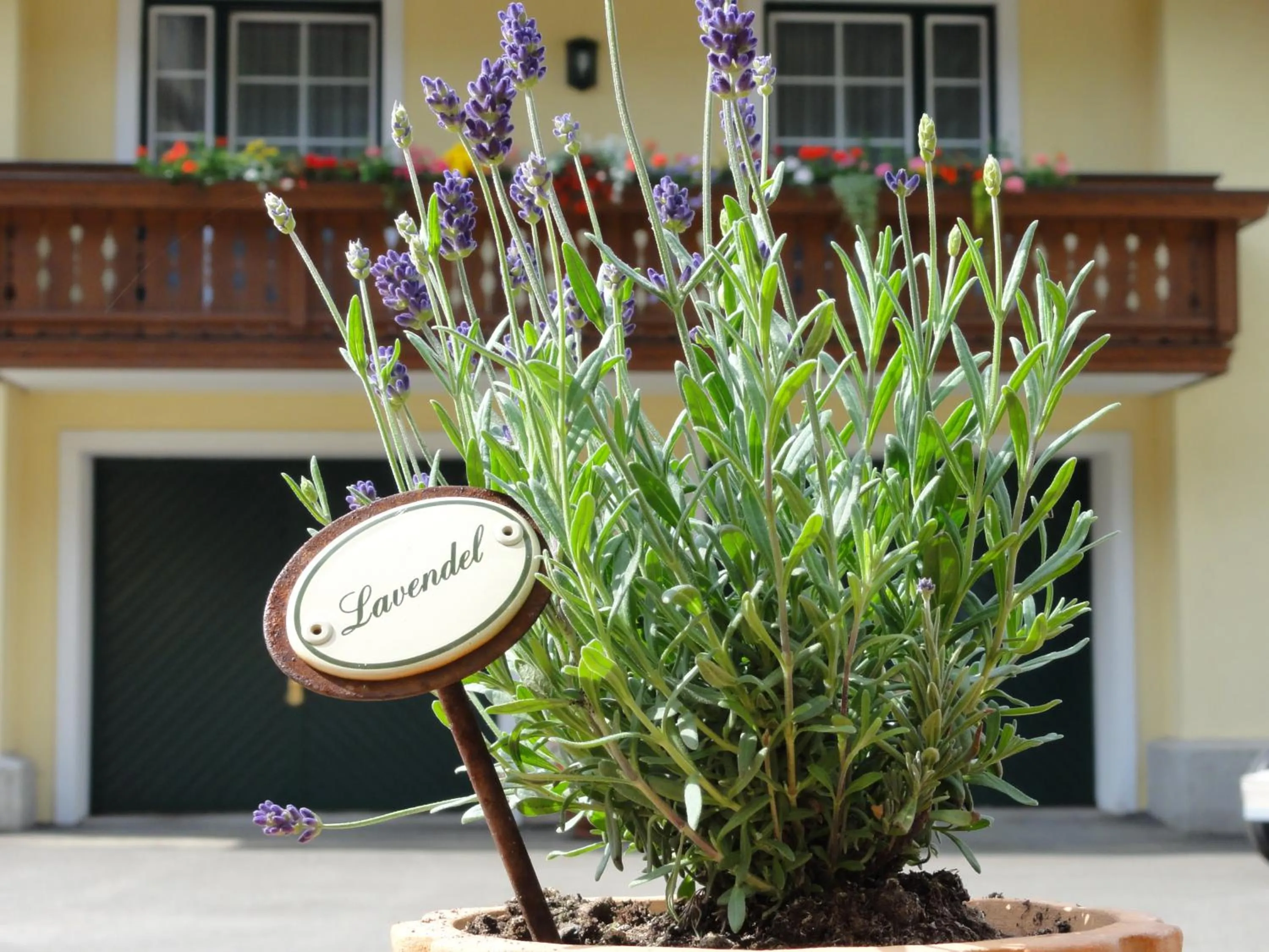 Facade/entrance in Familiengasthof Maier