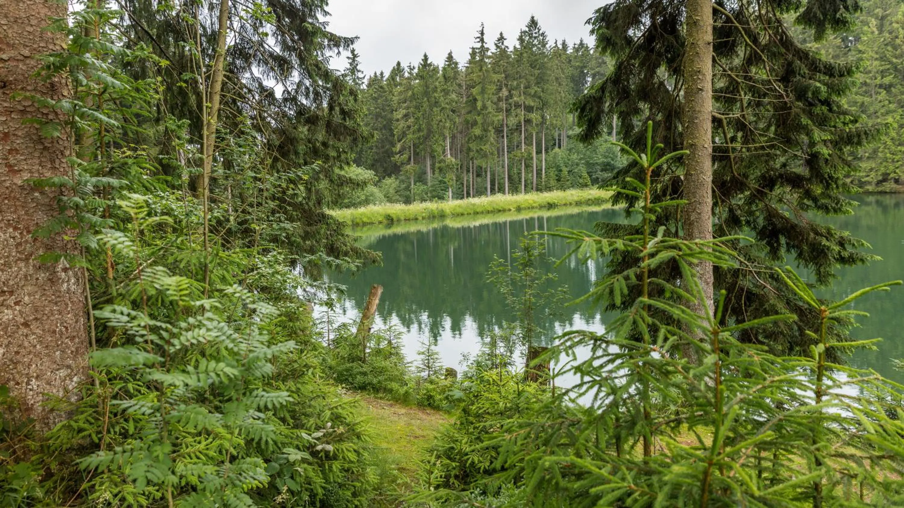 Natural landscape in Hotel Haus am Hochwald