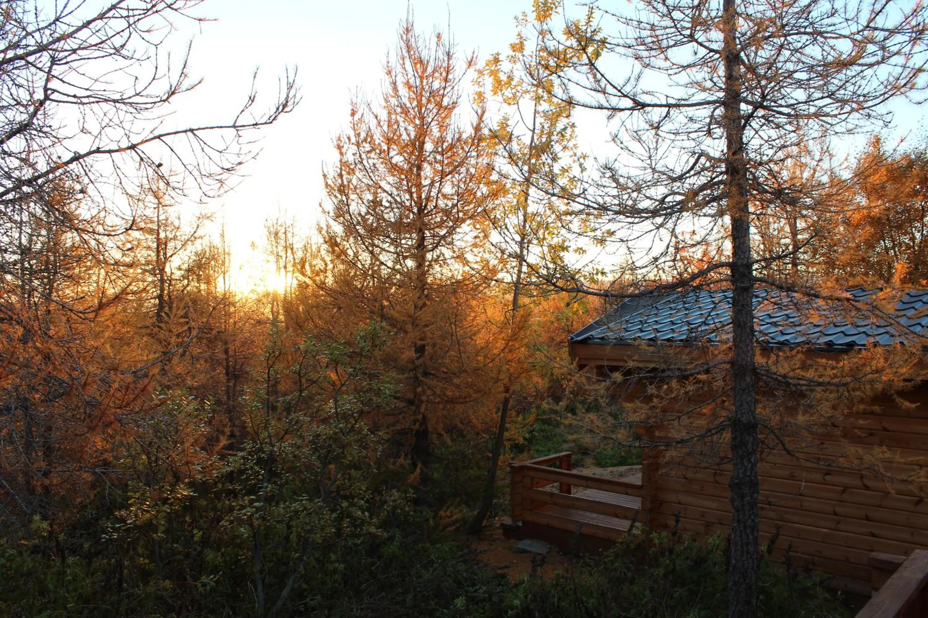 Facade/entrance in Hótel Eyvindará
