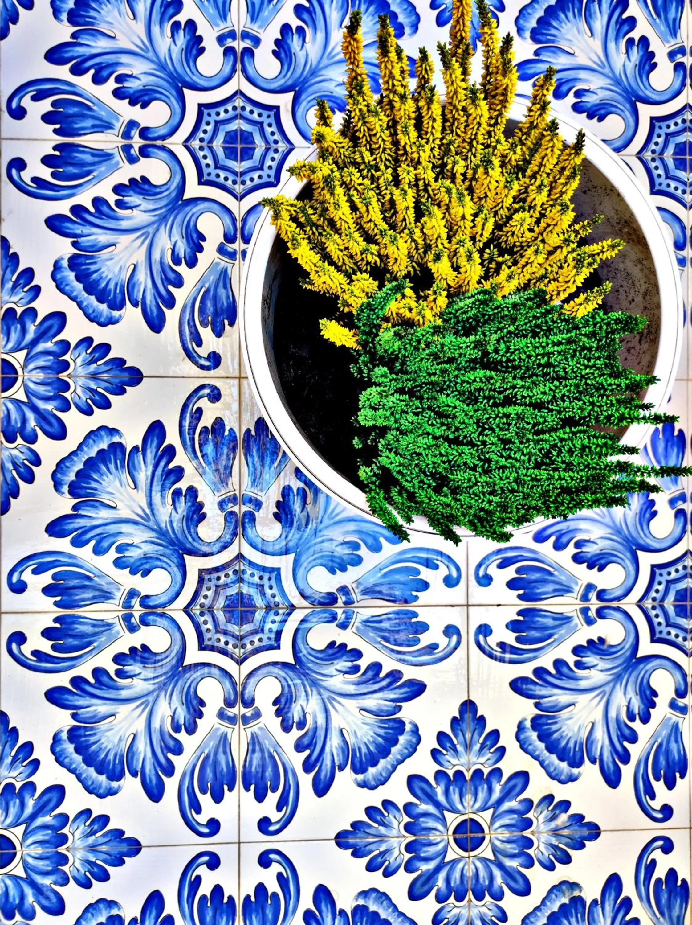 Garden in Kèramos Luxury Rooms