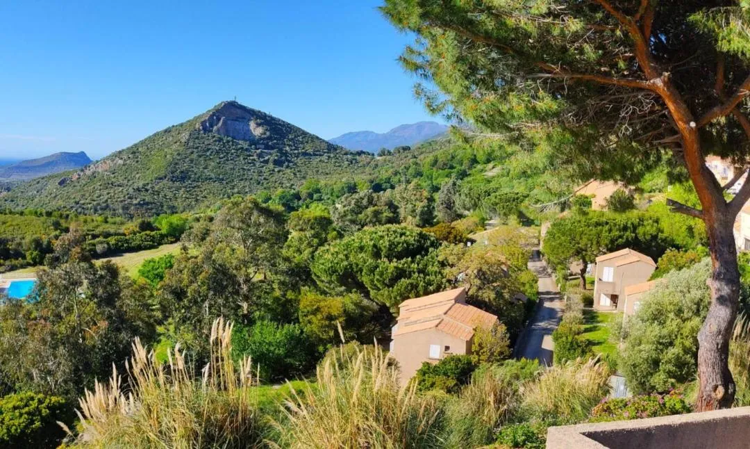 View (from property/room) in Résidence U Nebbiu