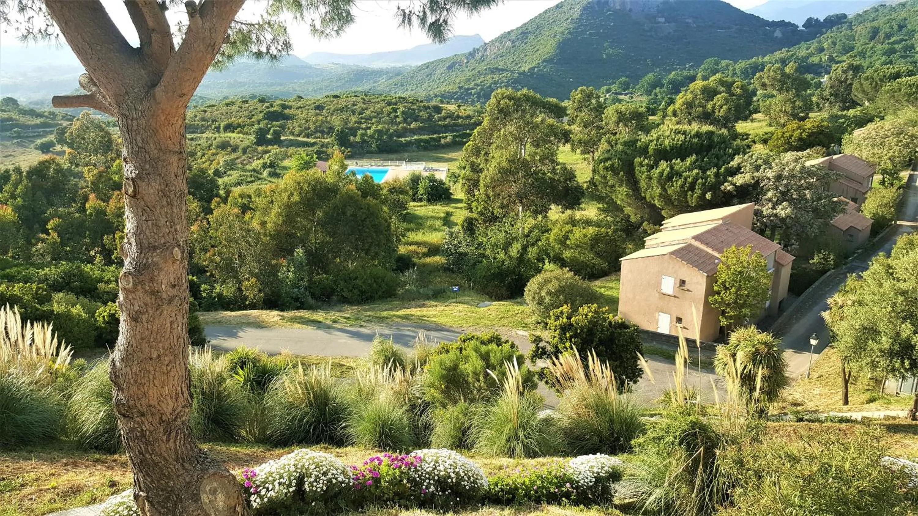 View (from property/room) in Résidence U Nebbiu