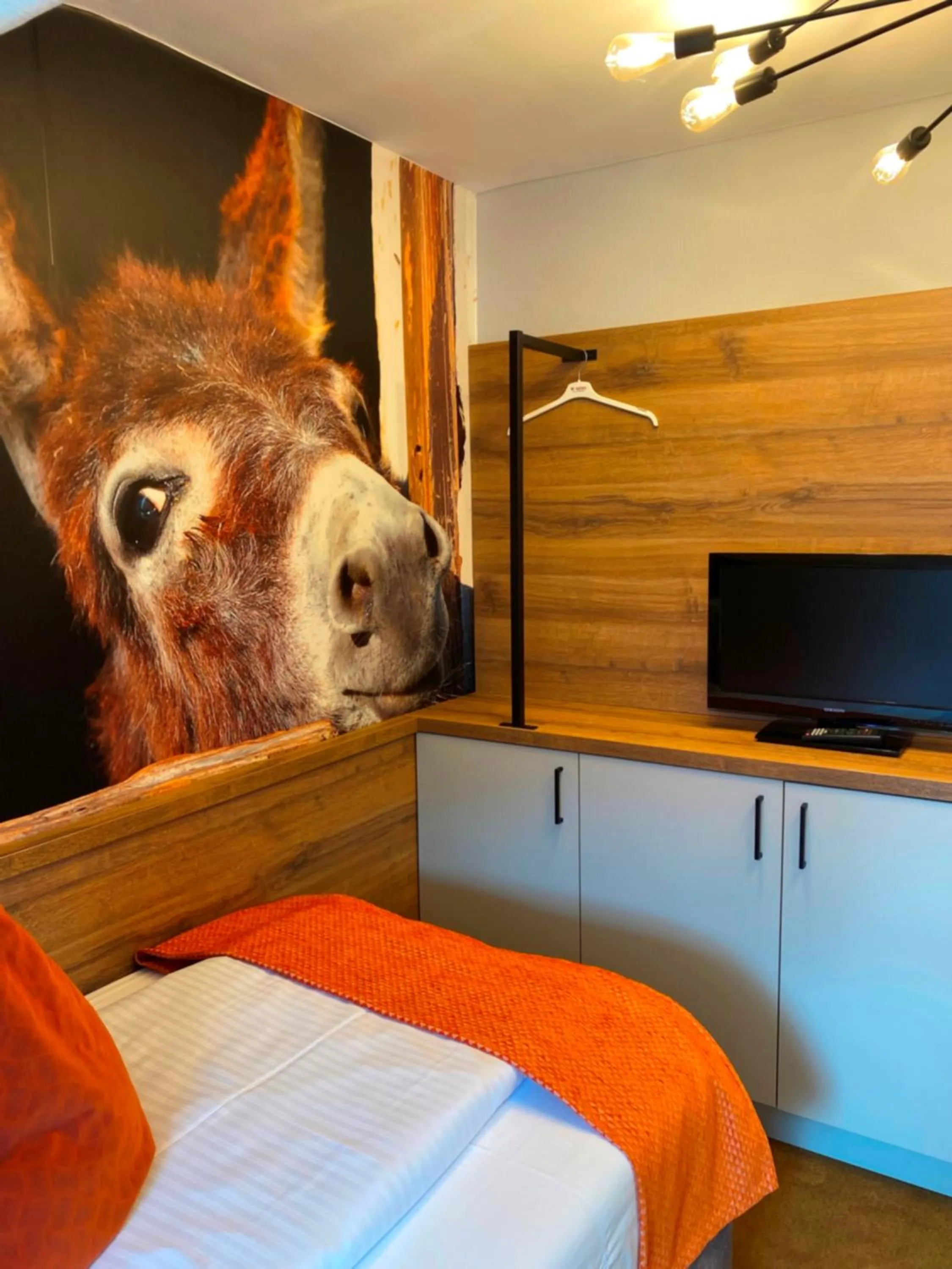 Photo of the whole room, Bed in Hotel Elisabetha Garni