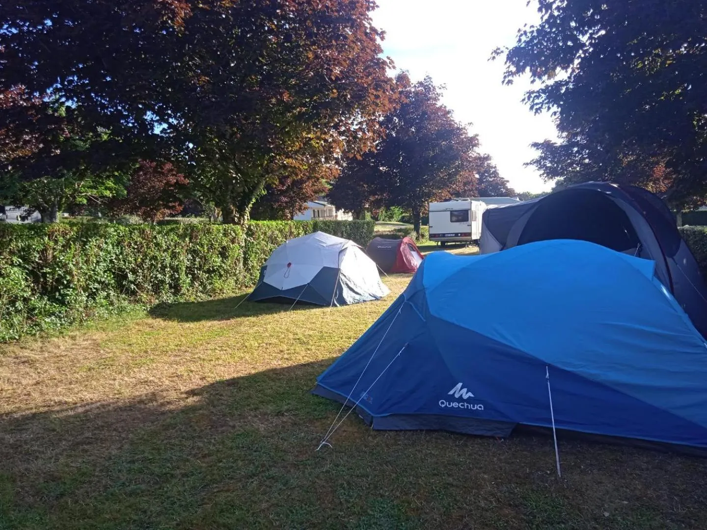 Garden in Olydea le Lambon - Prailles-la-Couarde
