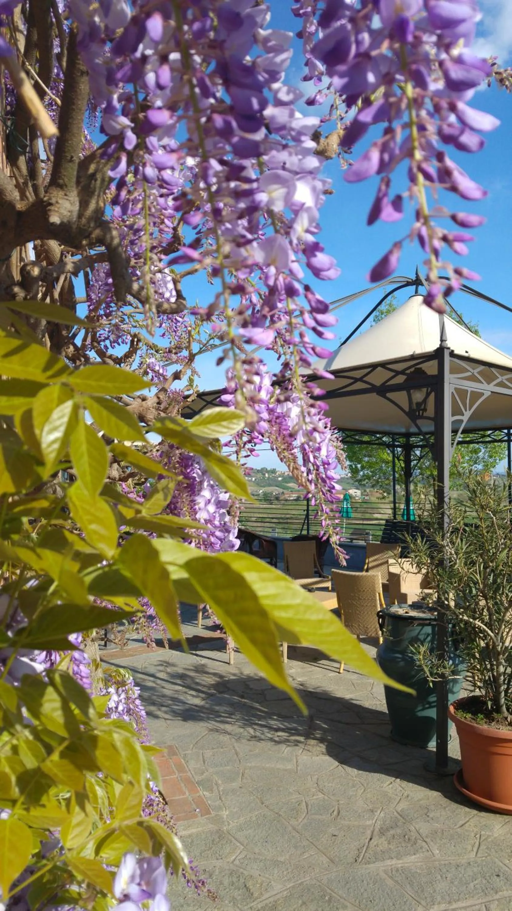 Area and facilities in Locanda del Boscogrande