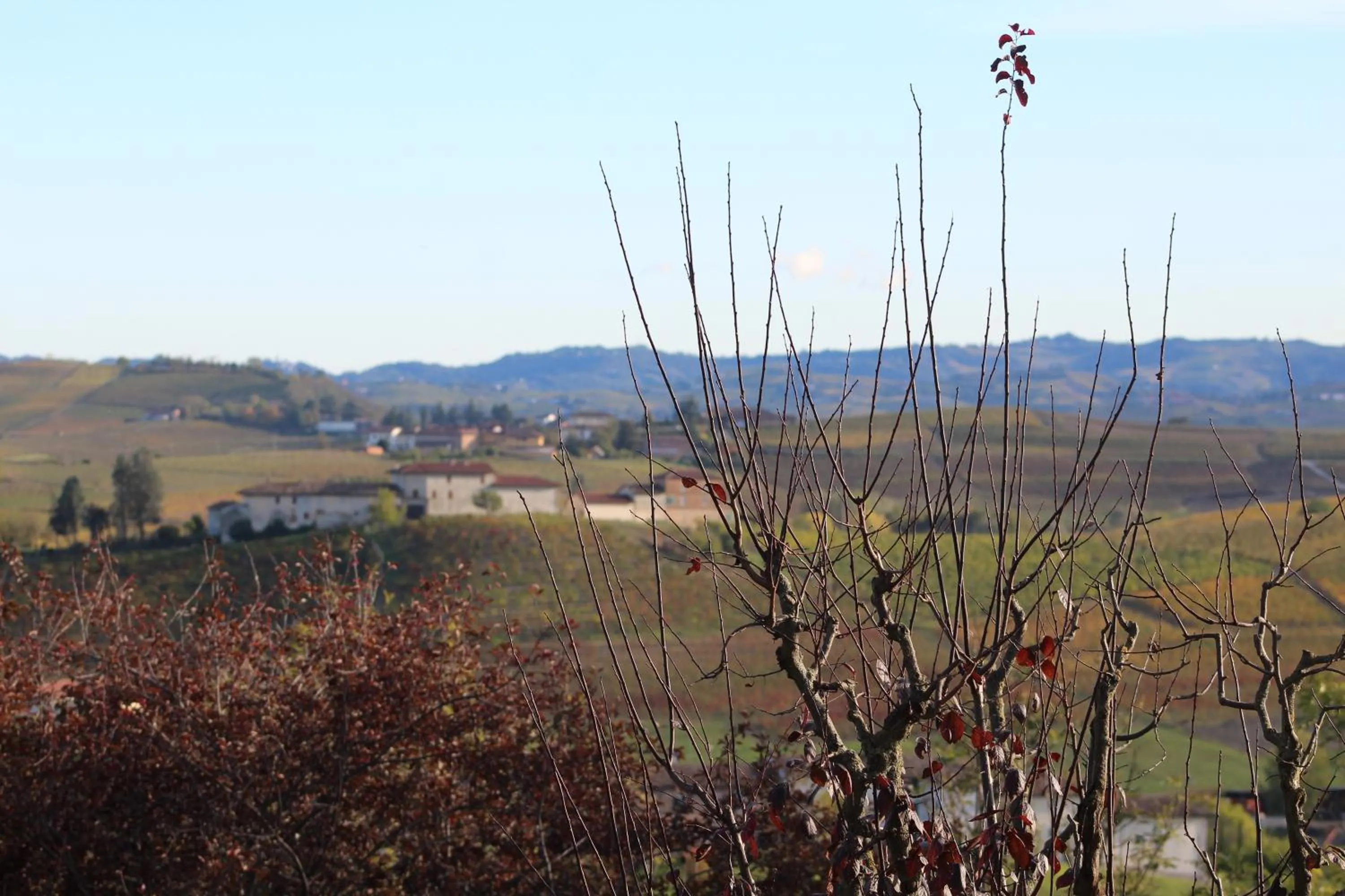 Inner courtyard view in Locanda del Boscogrande