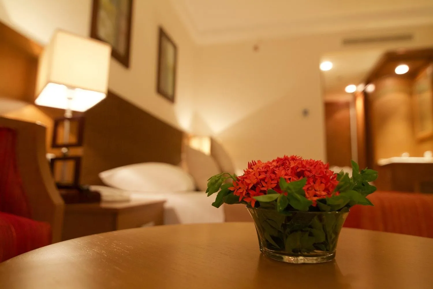 Hala Hotel & Aqua Park