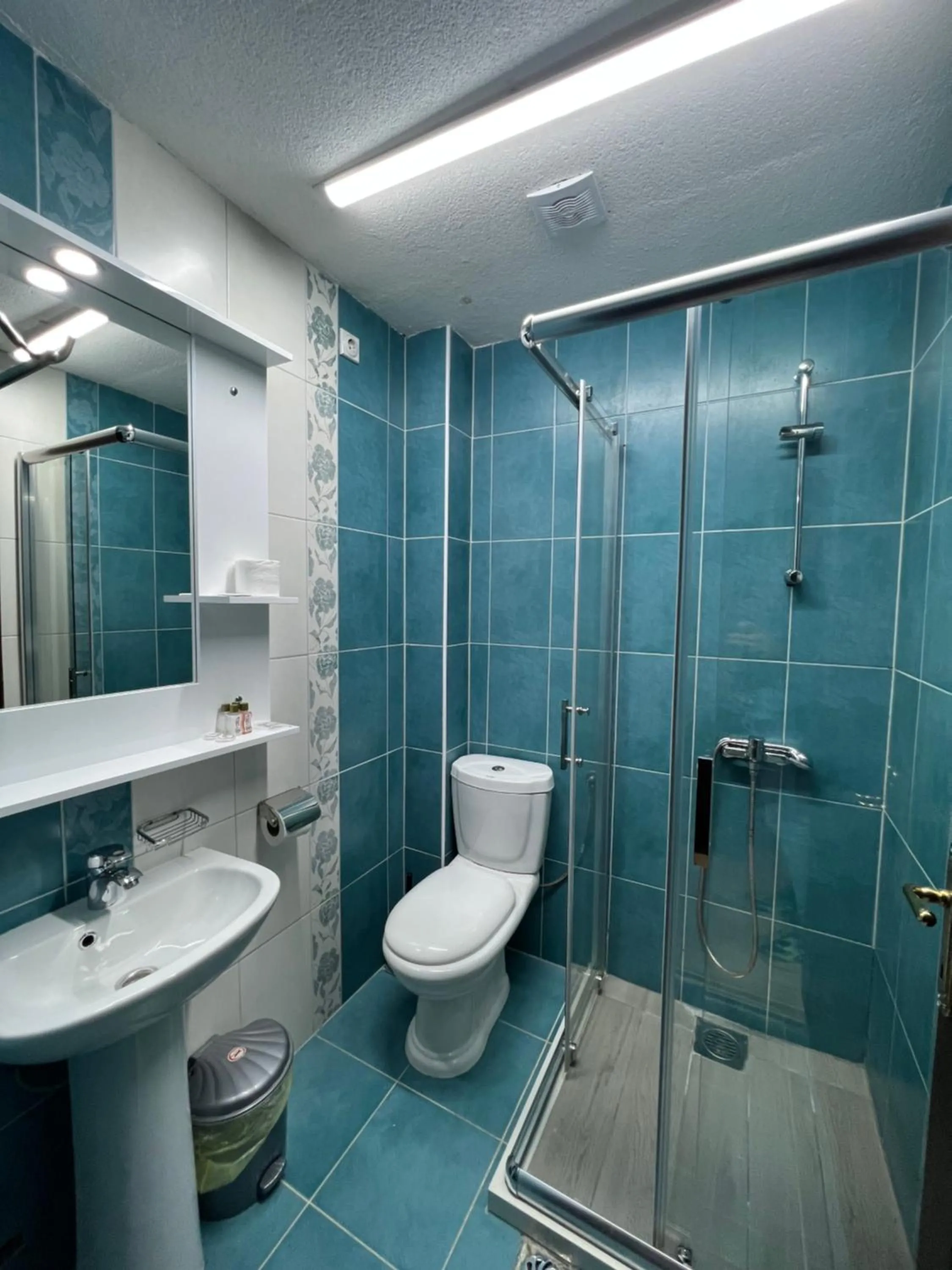 Toilet in Villa Dionis