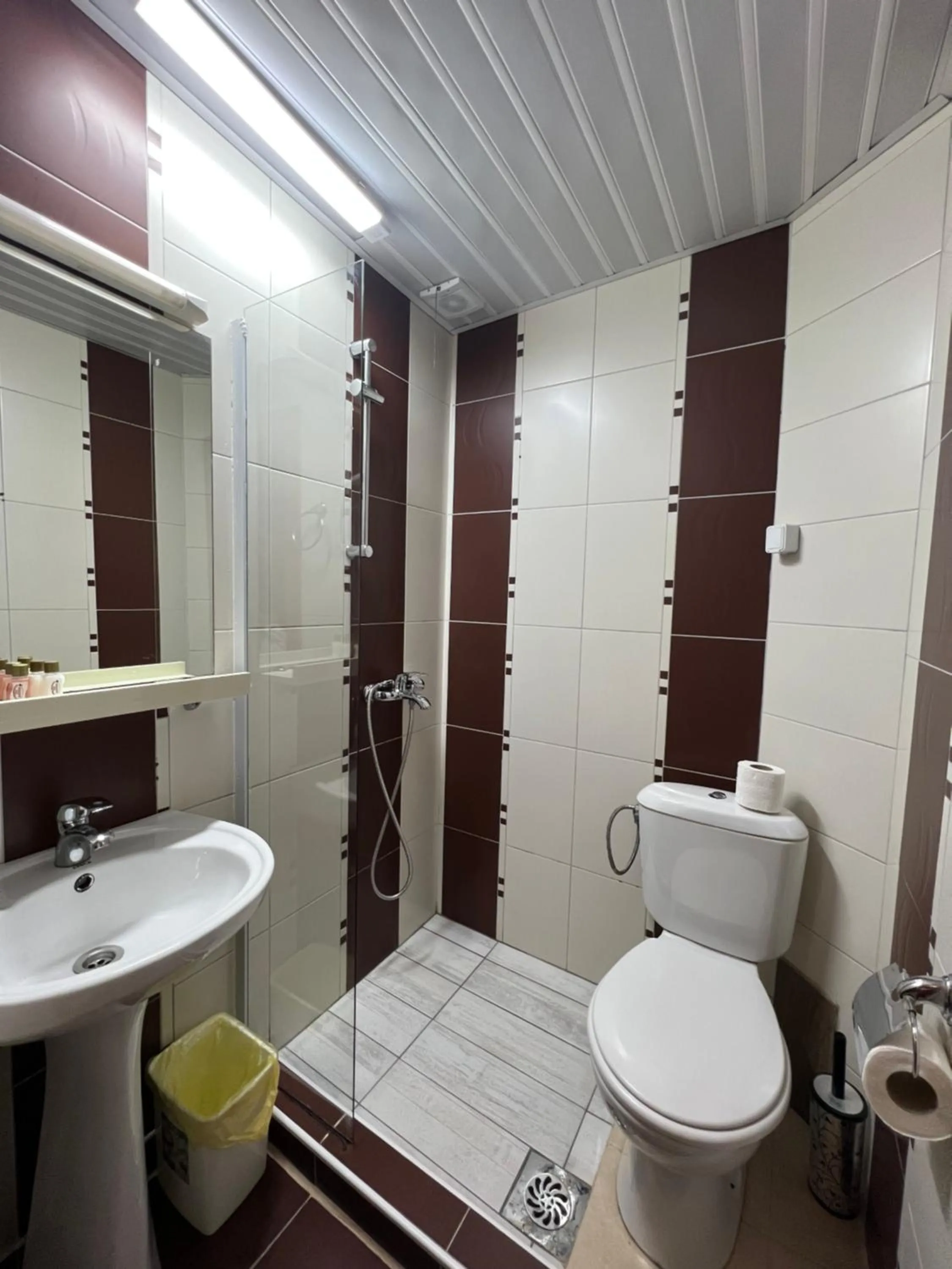 Toilet in Villa Dionis