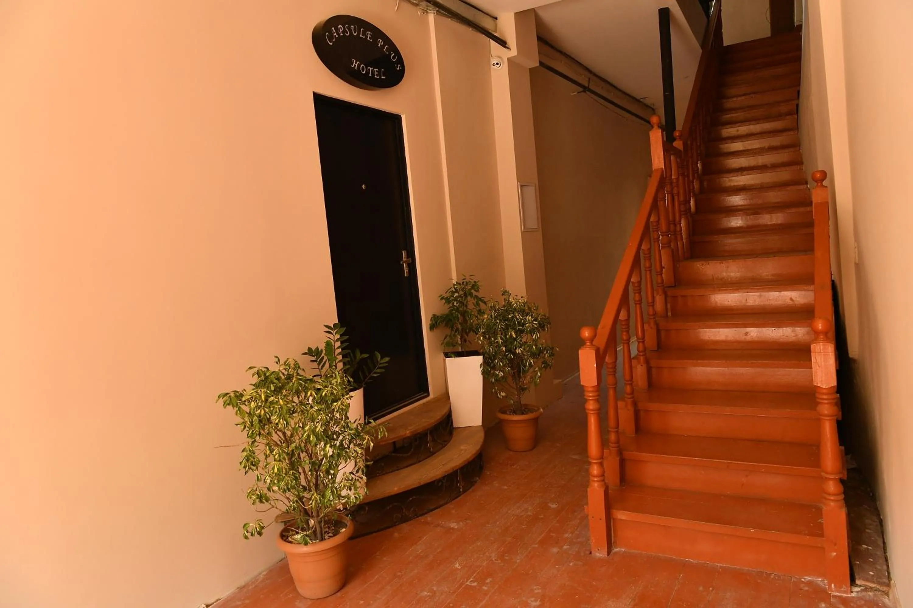 Property building in CapsulePlus