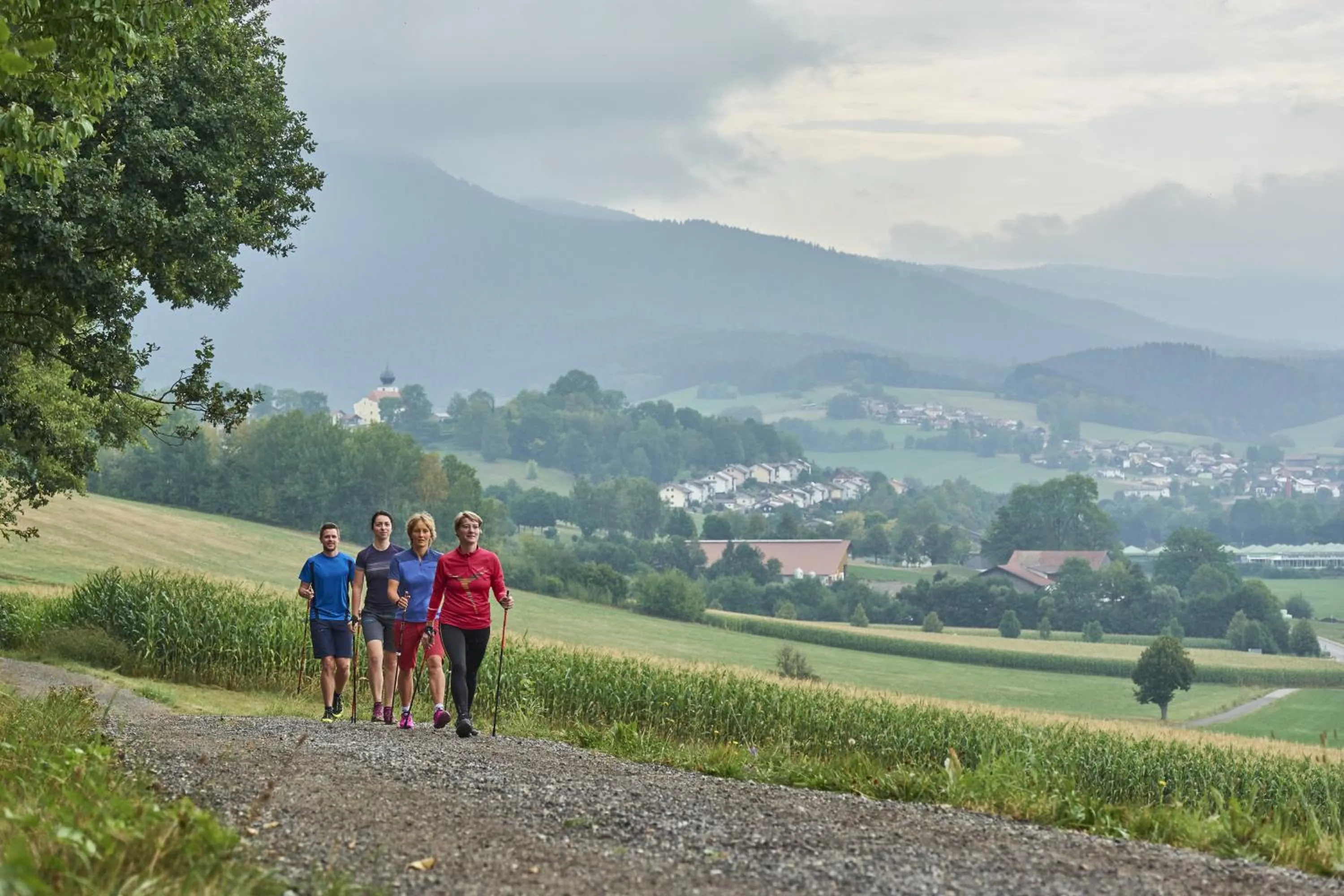 Activities in Hotel Das Bayerwald