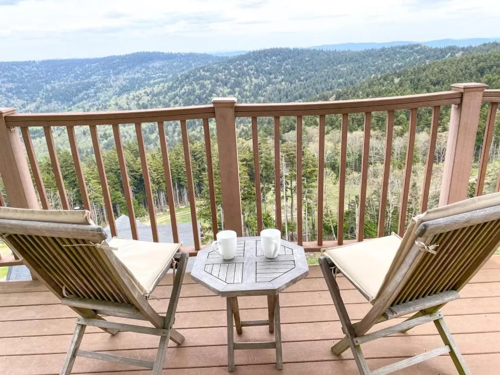 Remodeled Ski In-Out - 305 Soaring Eagle - Luxury!