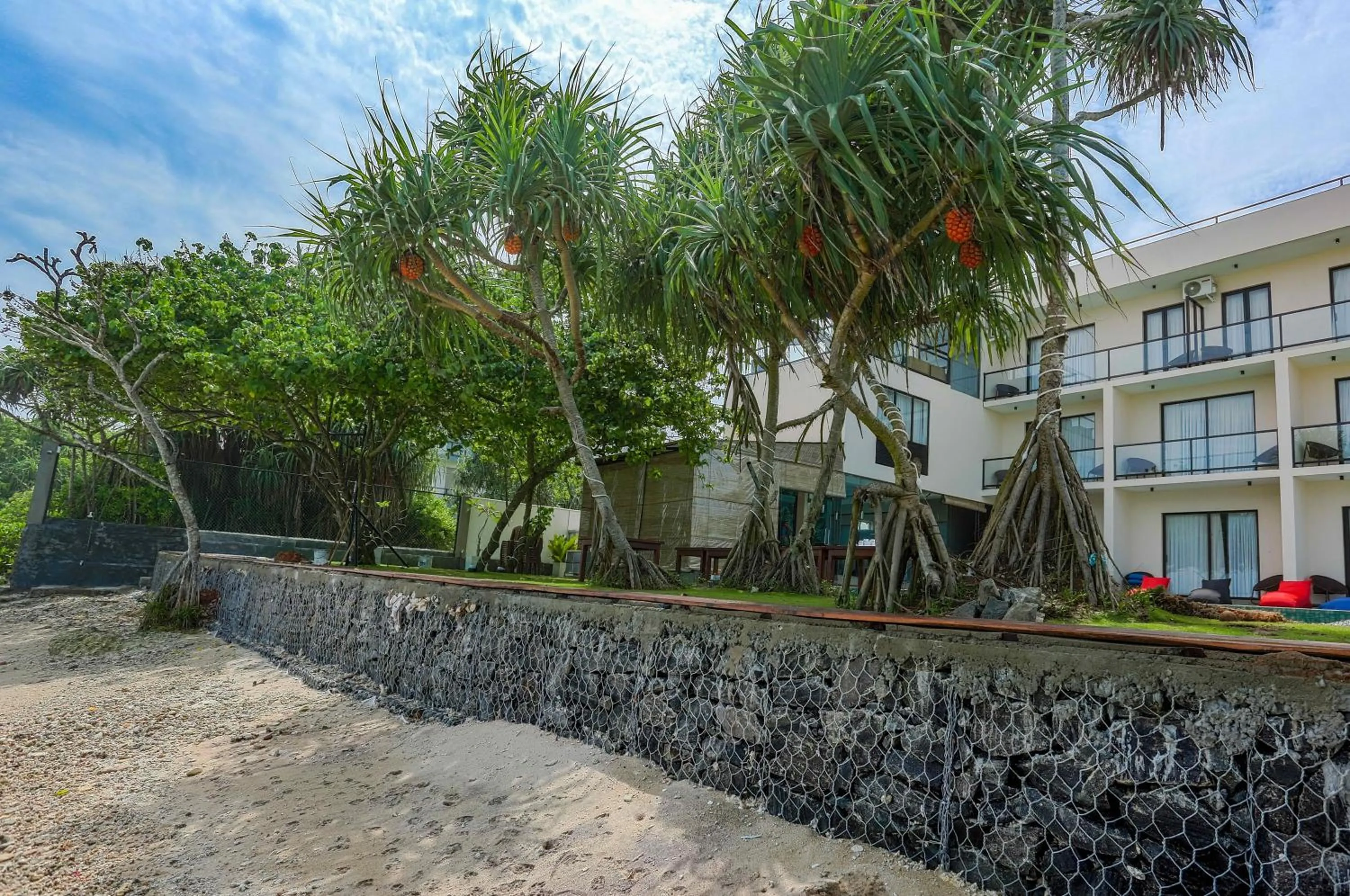 Beach in Beach & Bliss Mirissa