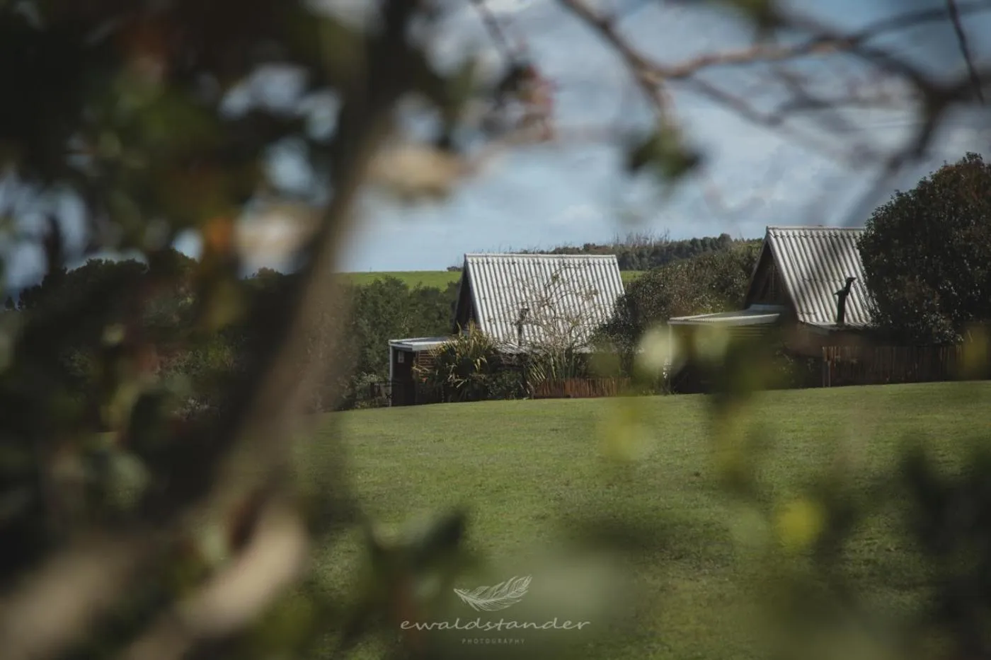 View (from property/room) in Misty Mountain Reserve