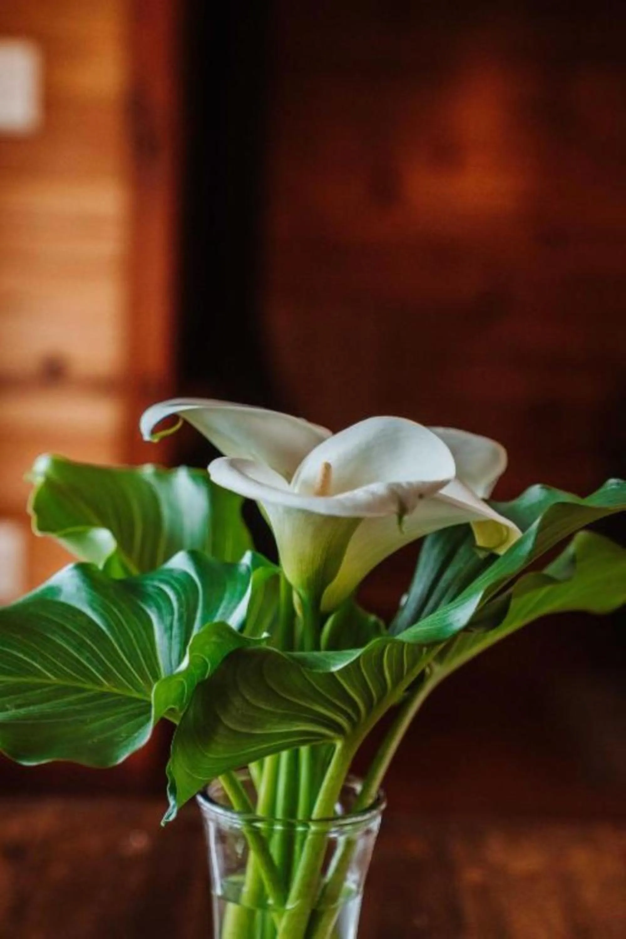 Decorative detail in Misty Mountain Reserve