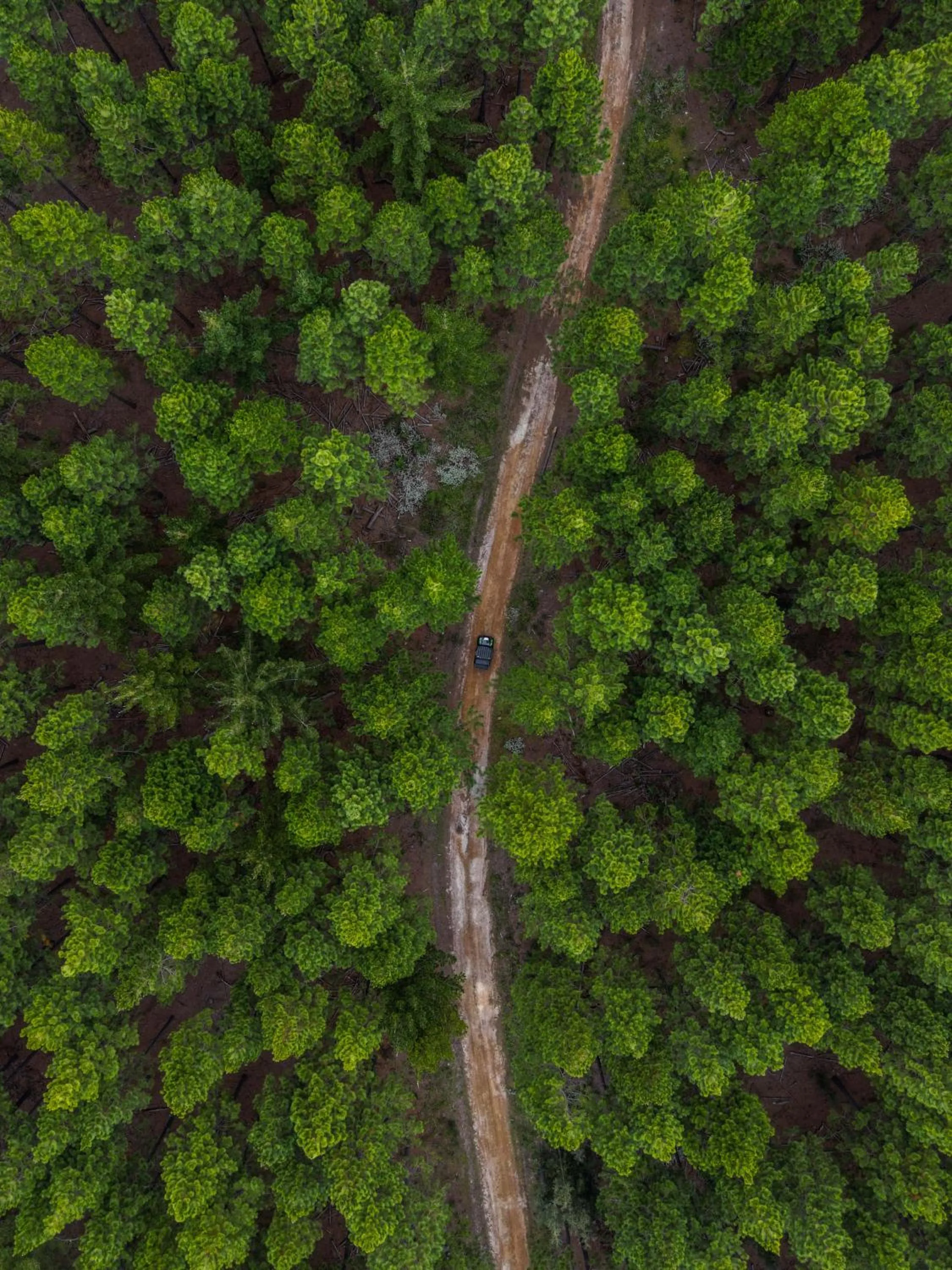 Activities in Misty Mountain Reserve