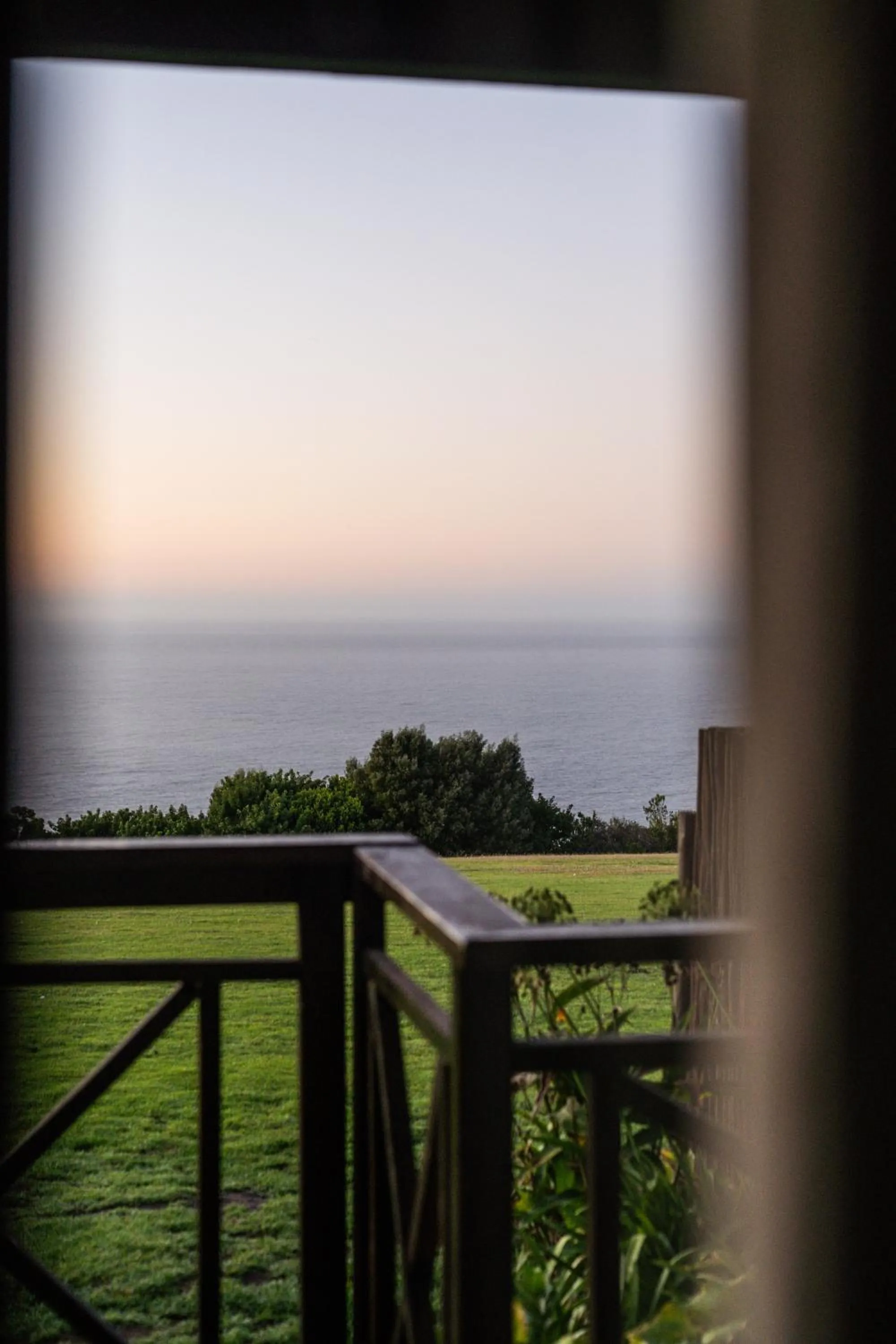 View (from property/room) in Misty Mountain Reserve