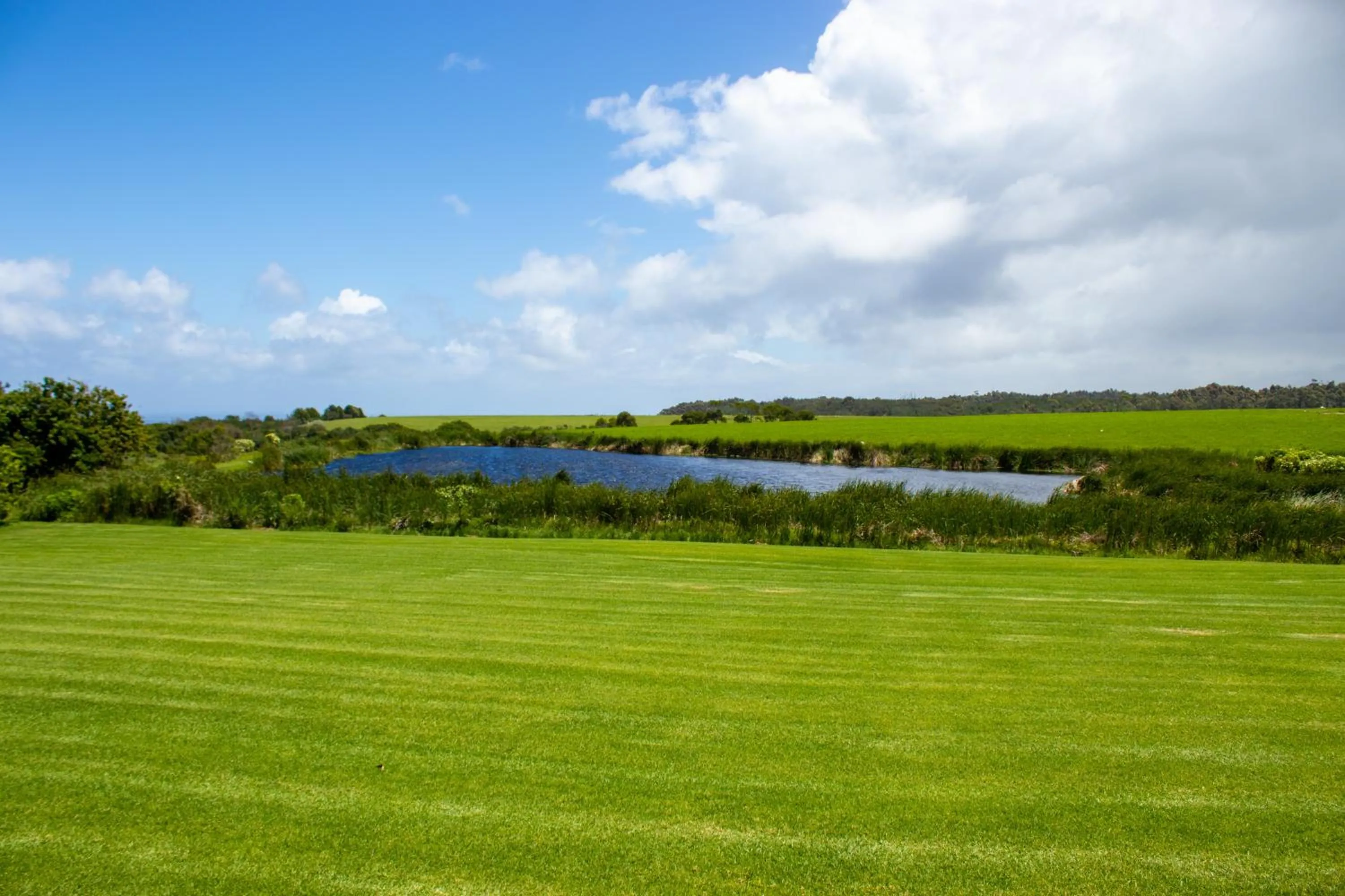 Lake view in Misty Mountain Reserve