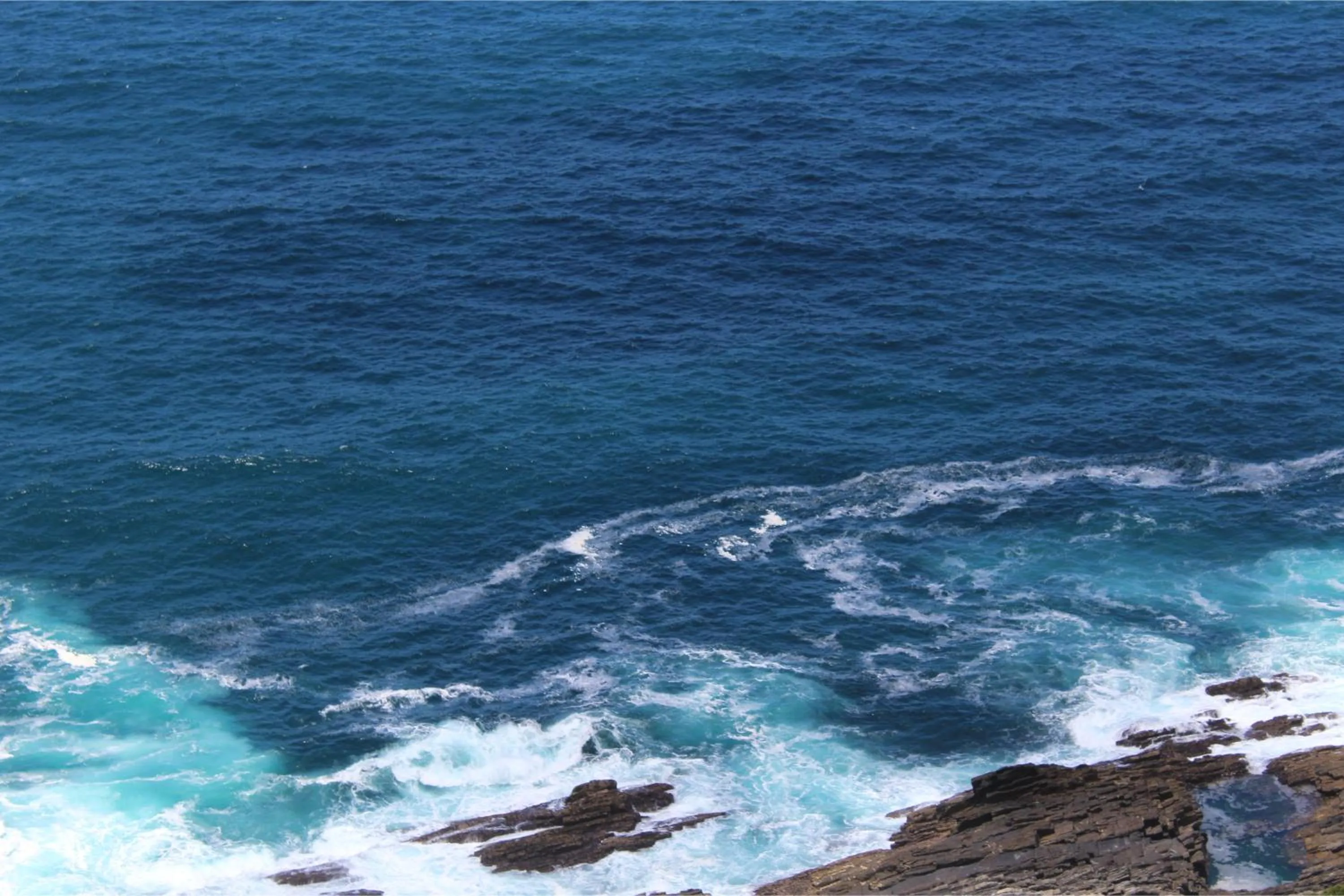 Hiking in Misty Mountain Reserve