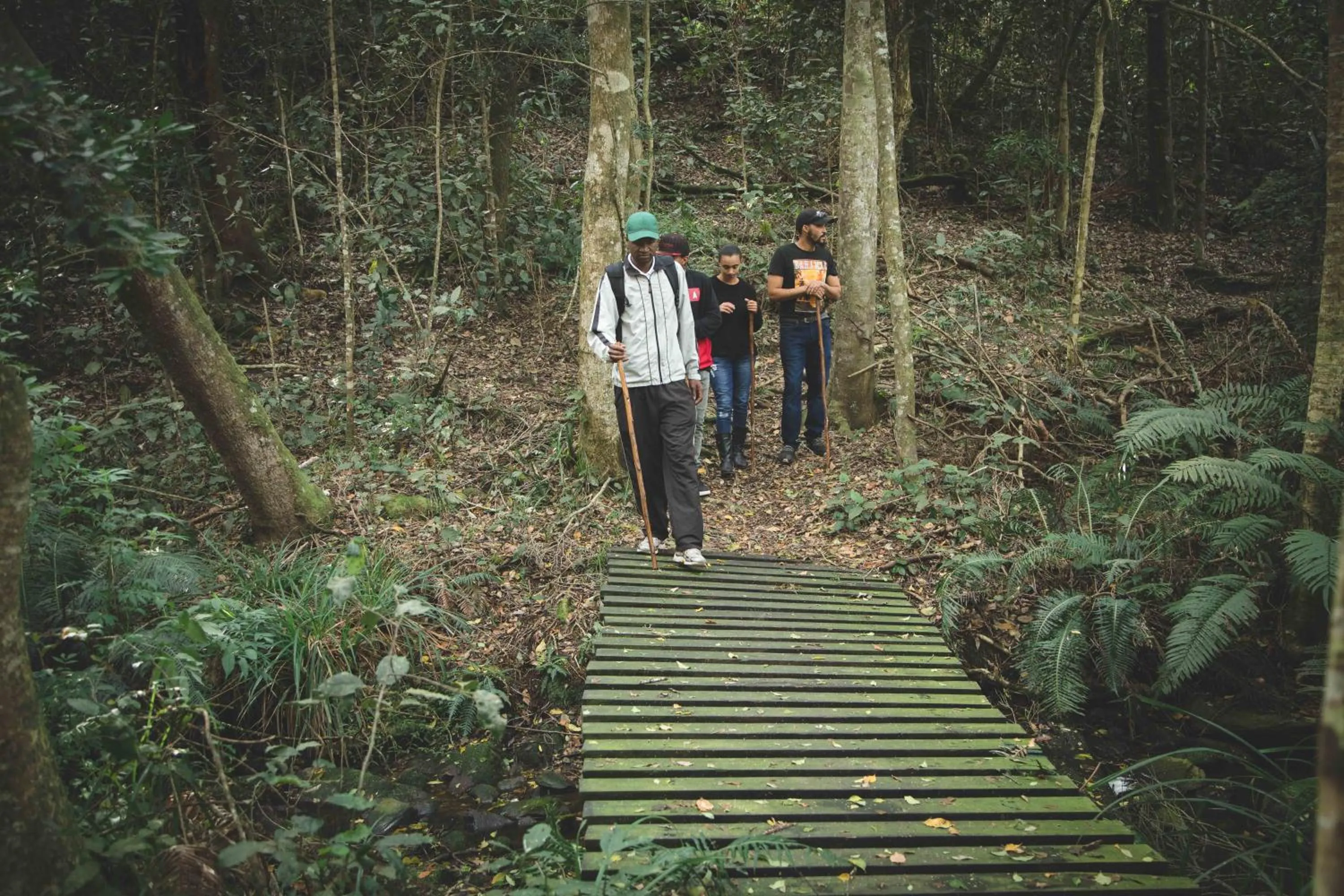 Day in Misty Mountain Reserve