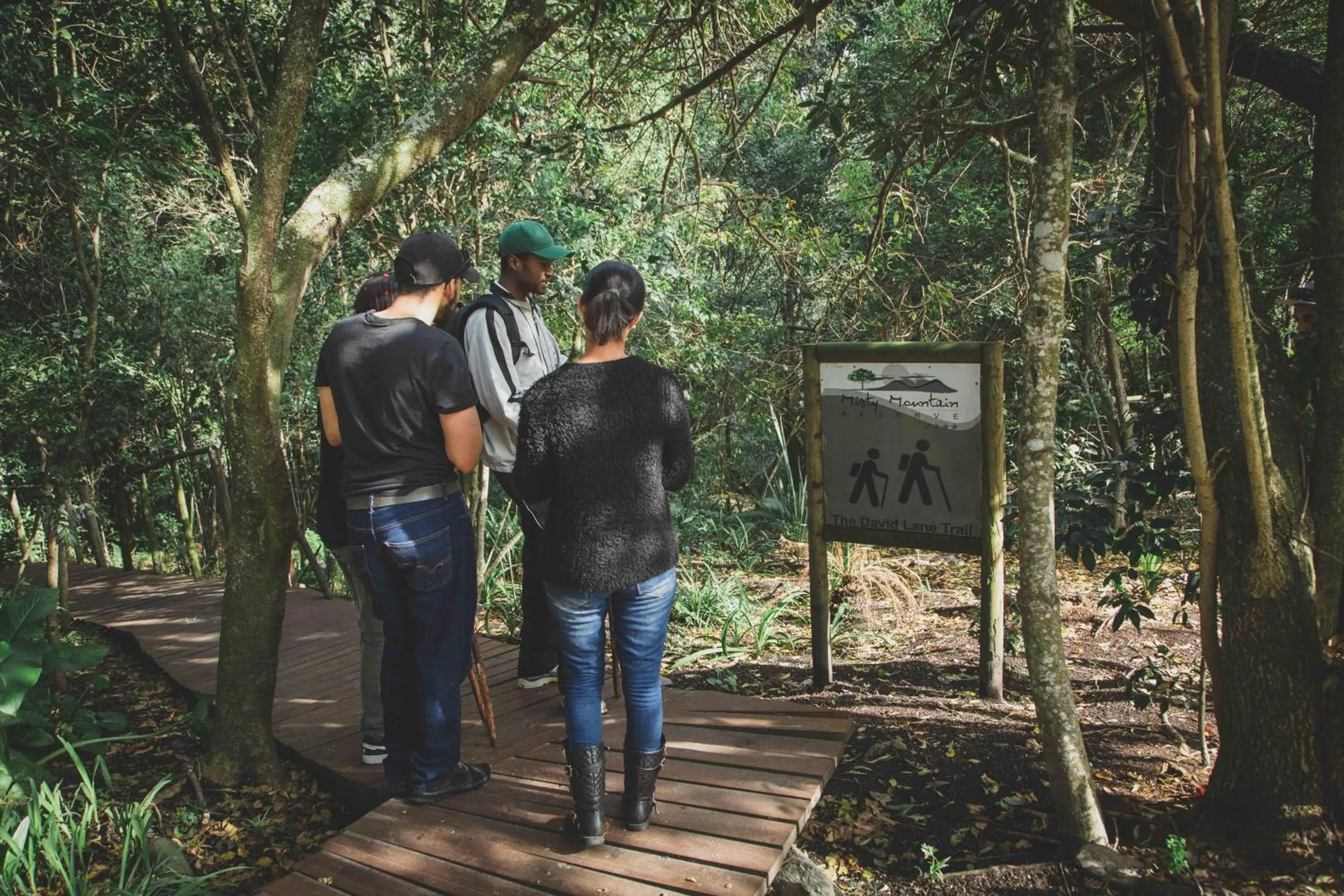Natural landscape in Misty Mountain Reserve
