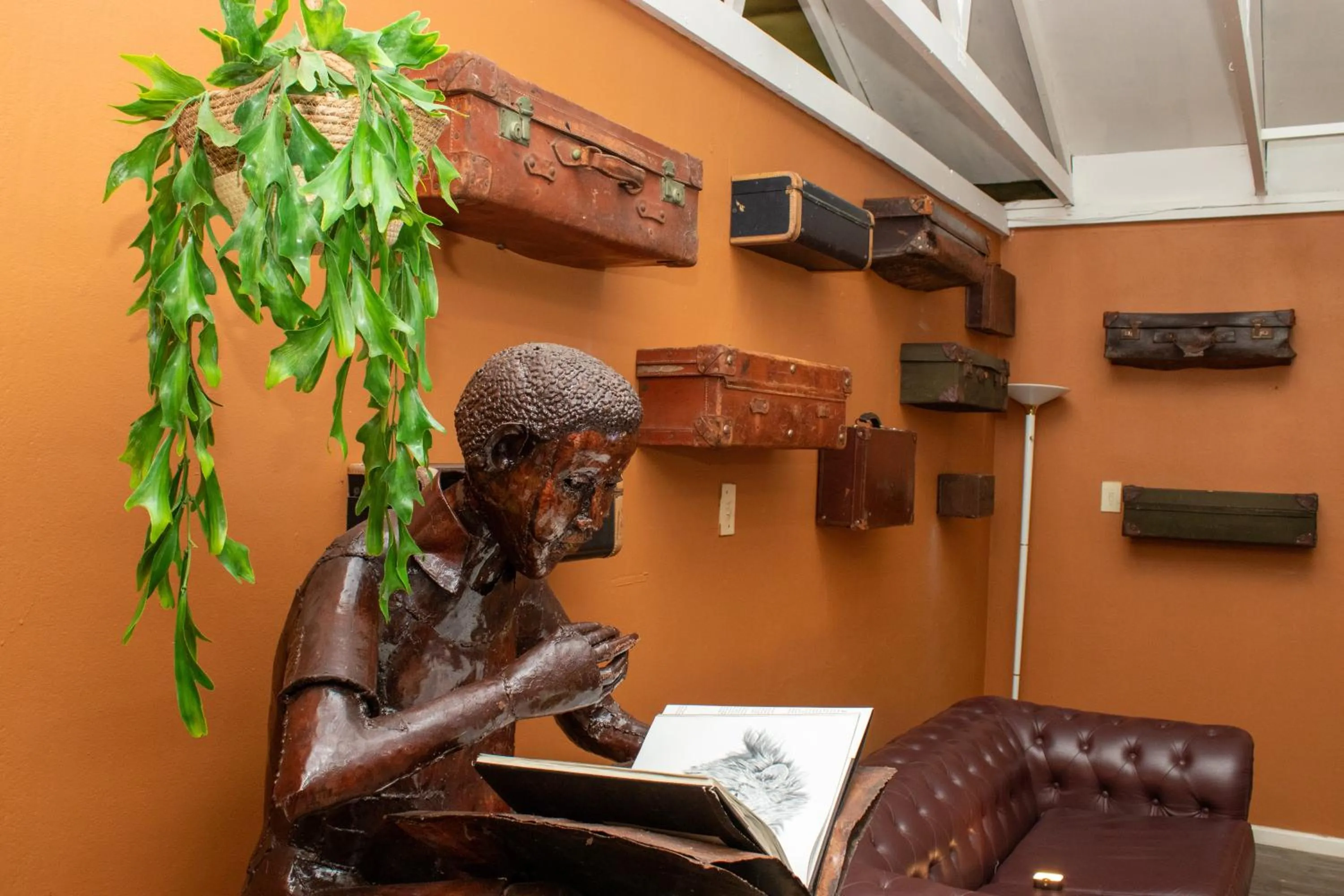 Restaurant/places to eat in Misty Mountain Reserve