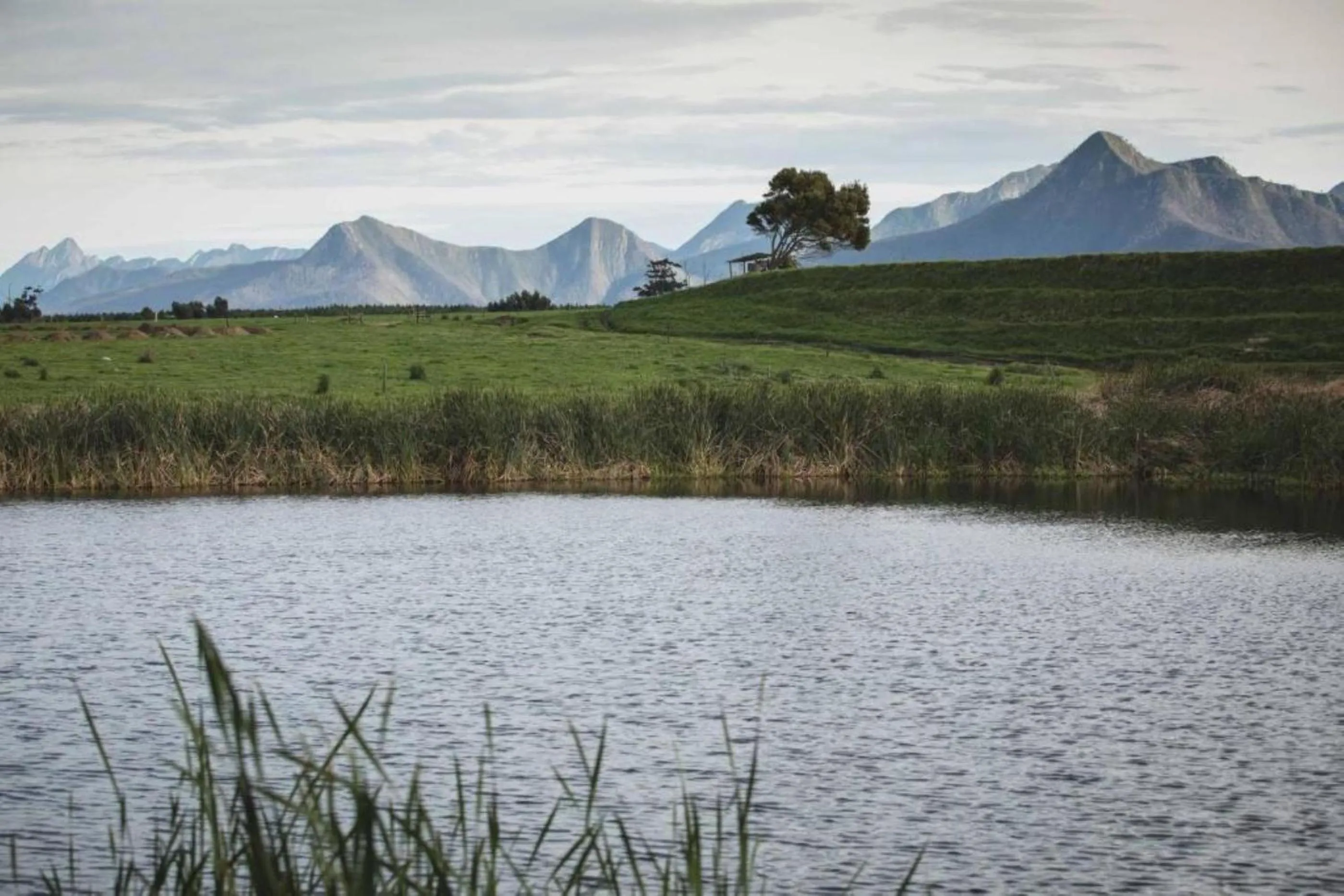 Natural landscape in Misty Mountain Reserve