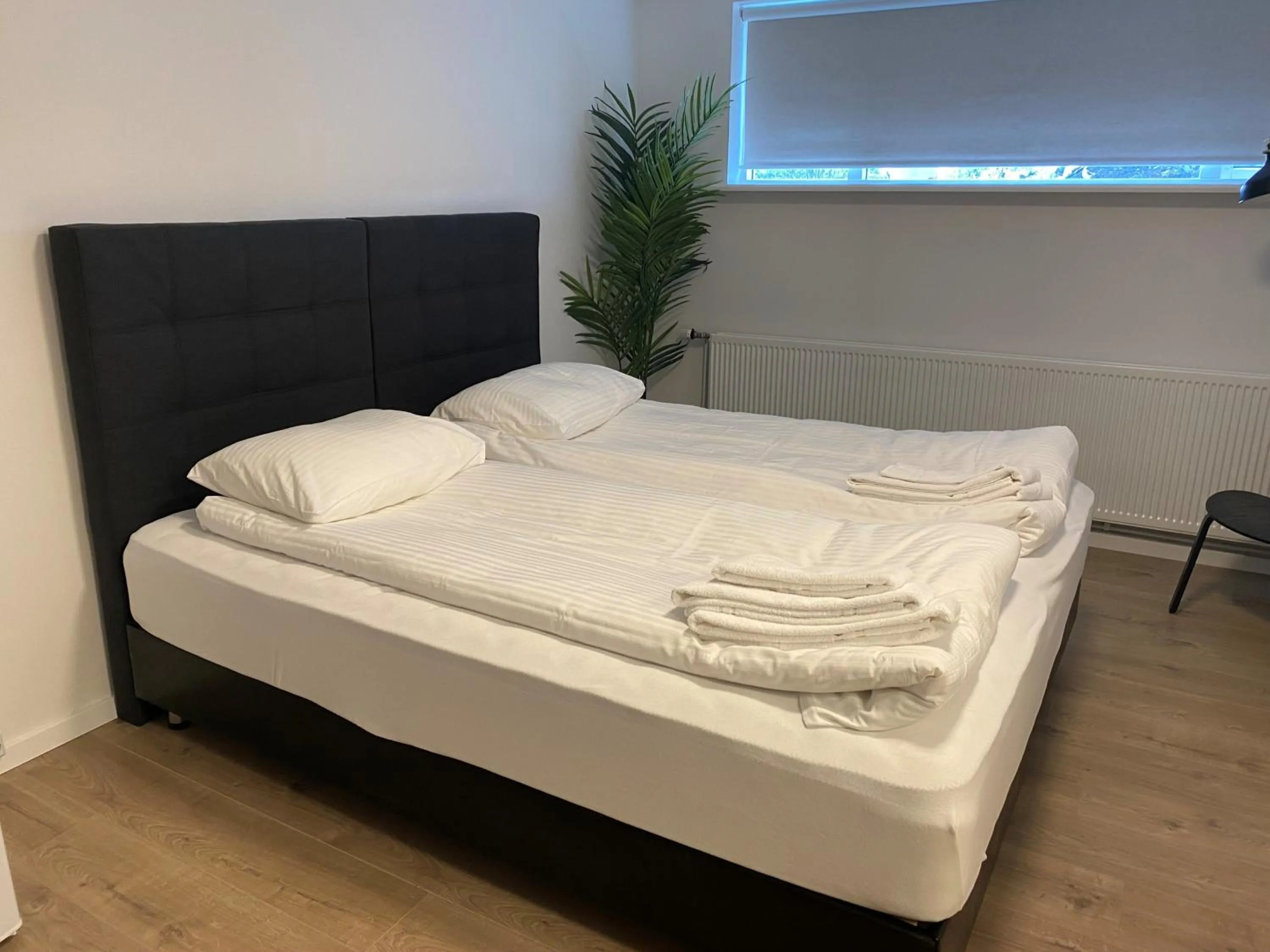 Bed in Day Dream Soleyjargata Rooms & Apartments