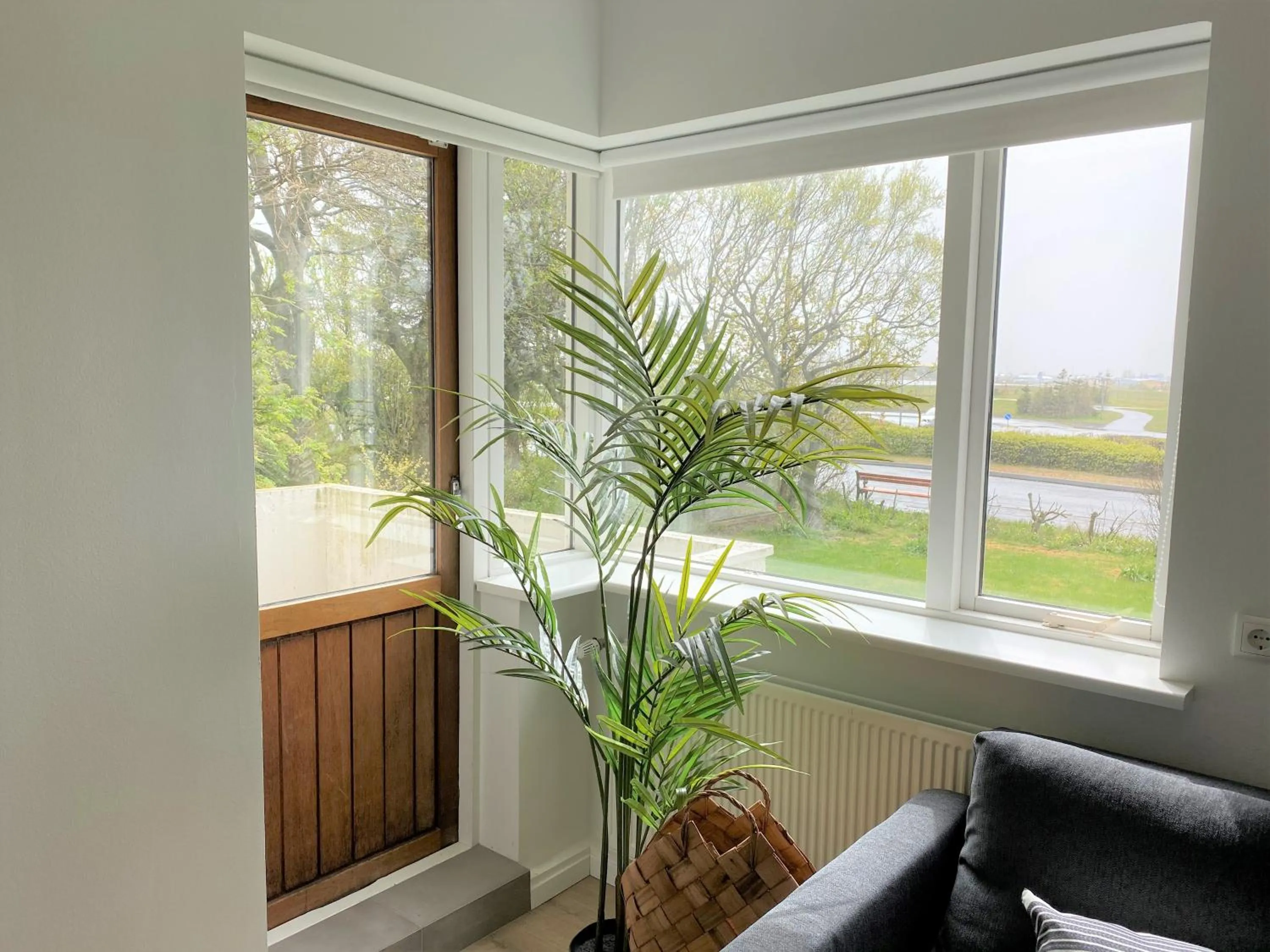 Garden view in Day Dream Soleyjargata Rooms & Apartments