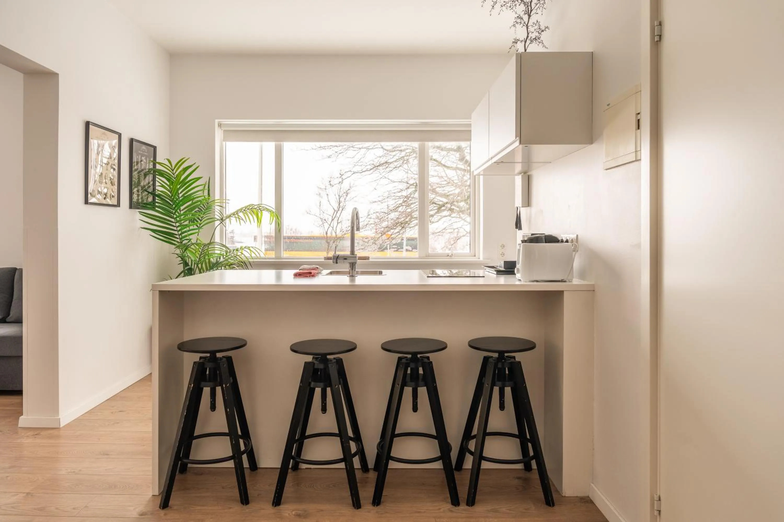 Kitchen or kitchenette in Day Dream Soleyjargata Rooms & Apartments