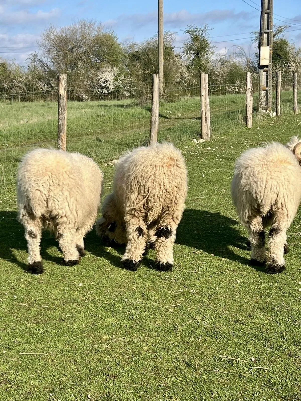 Other in Le Clos des Châteaux